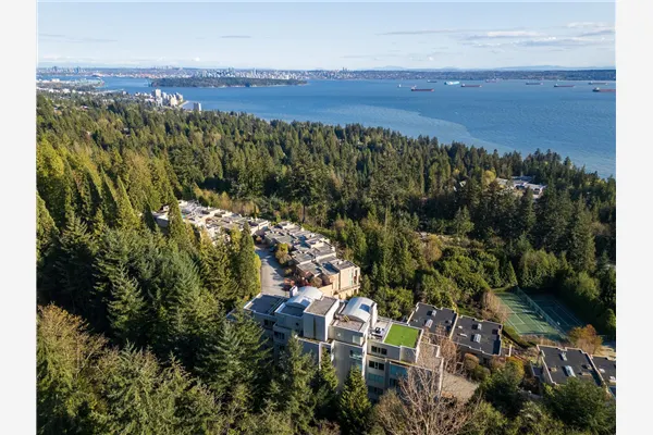 3105 Deer Ridge Drive #701