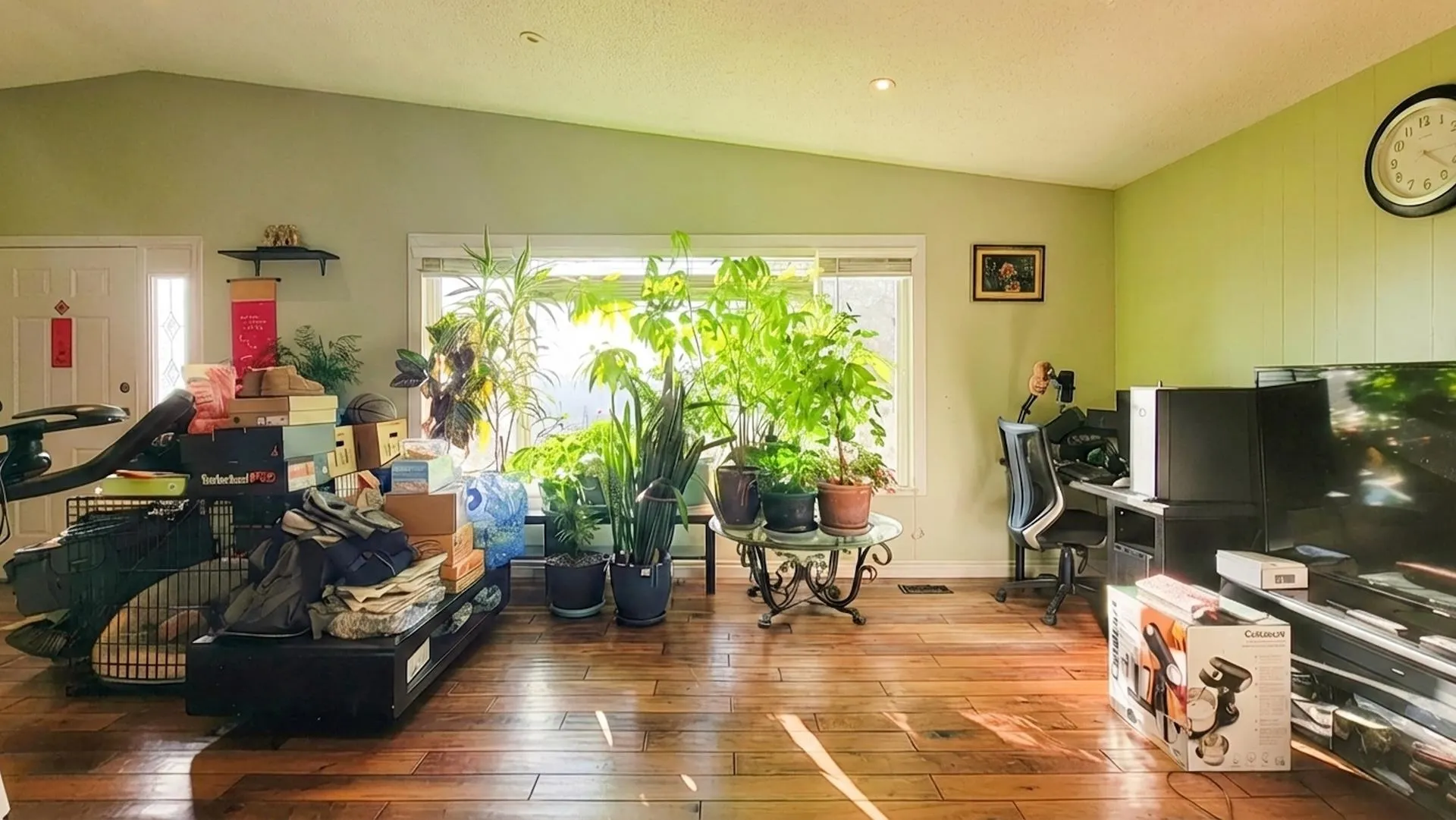 333 Louellen Street