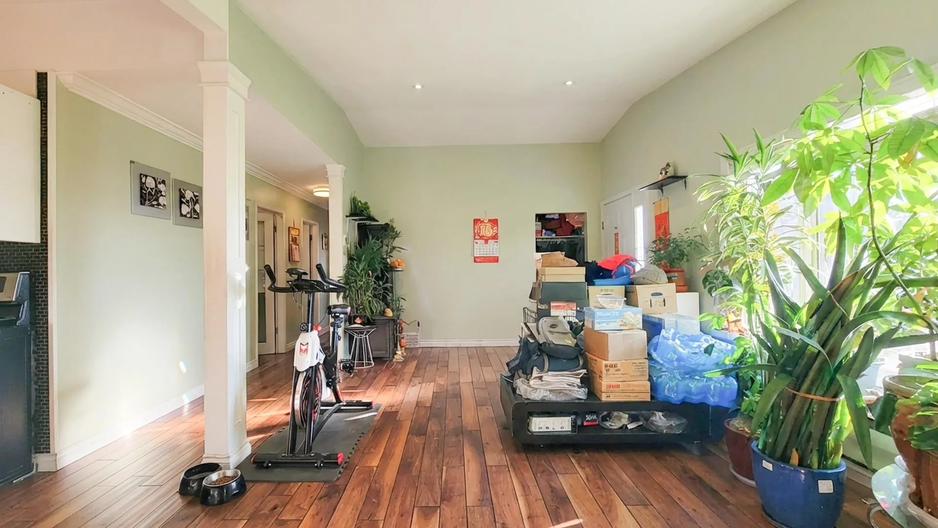 333 Louellen Street