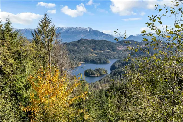 47095 Snowmist Drive