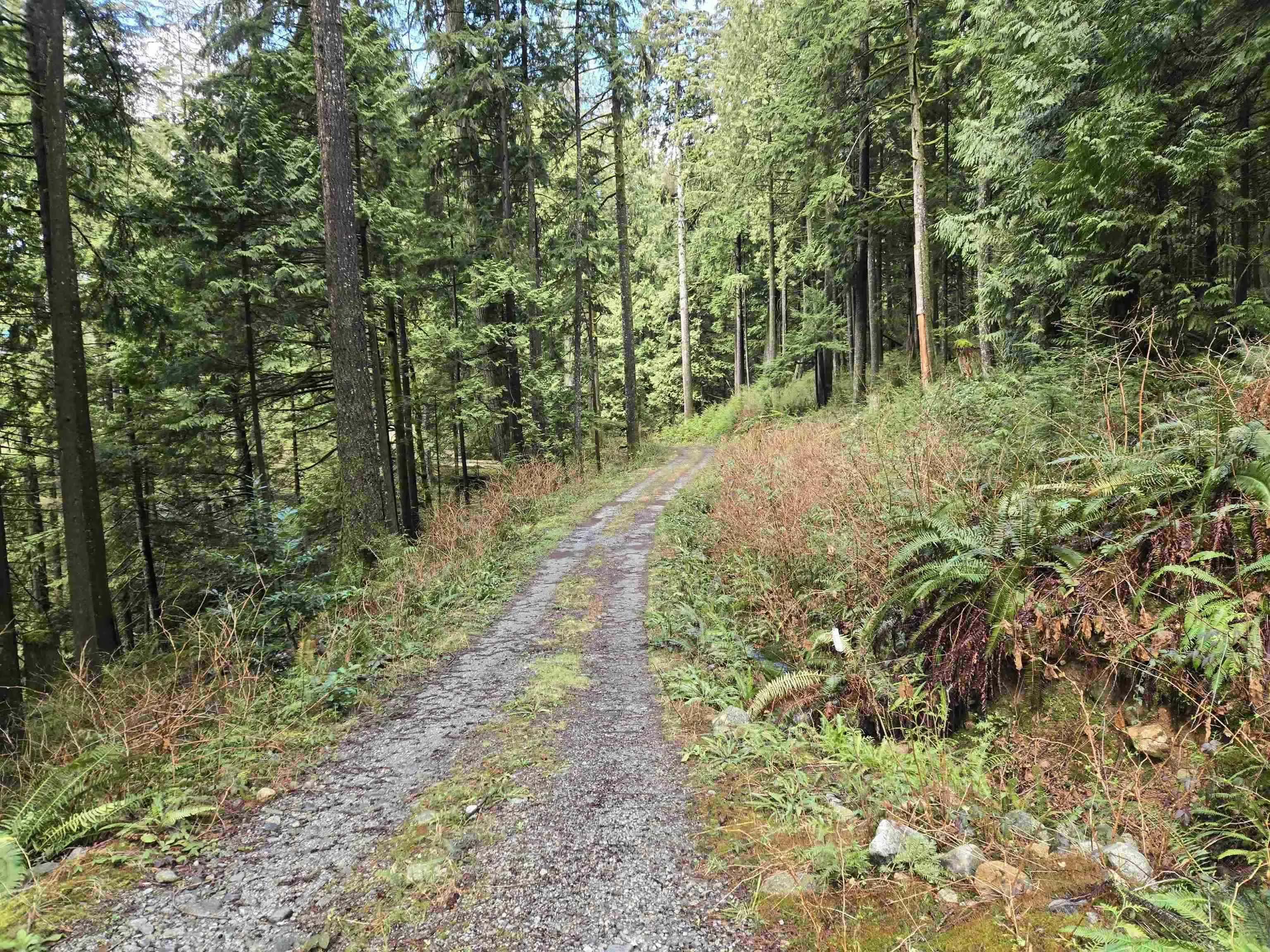 Lot 4 Williams Landing