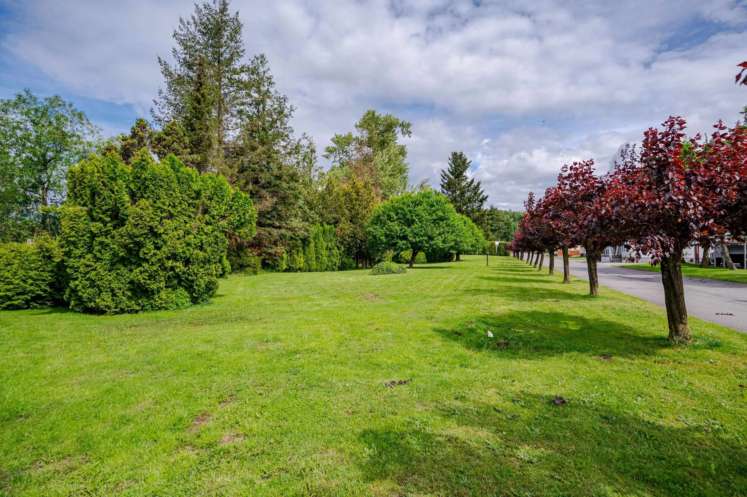 27111 0 Avenue #129