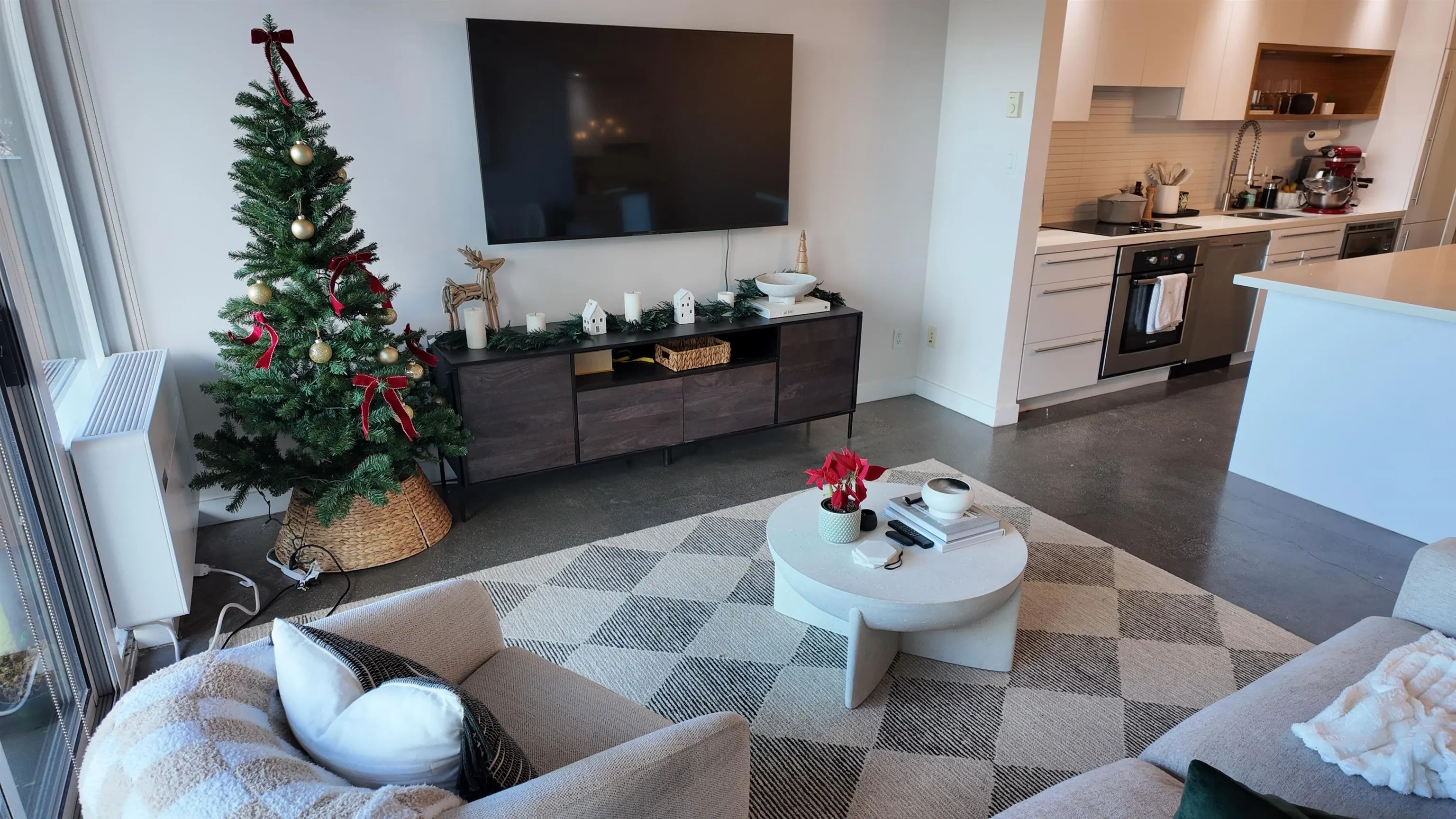 256 E 2nd Avenue #206