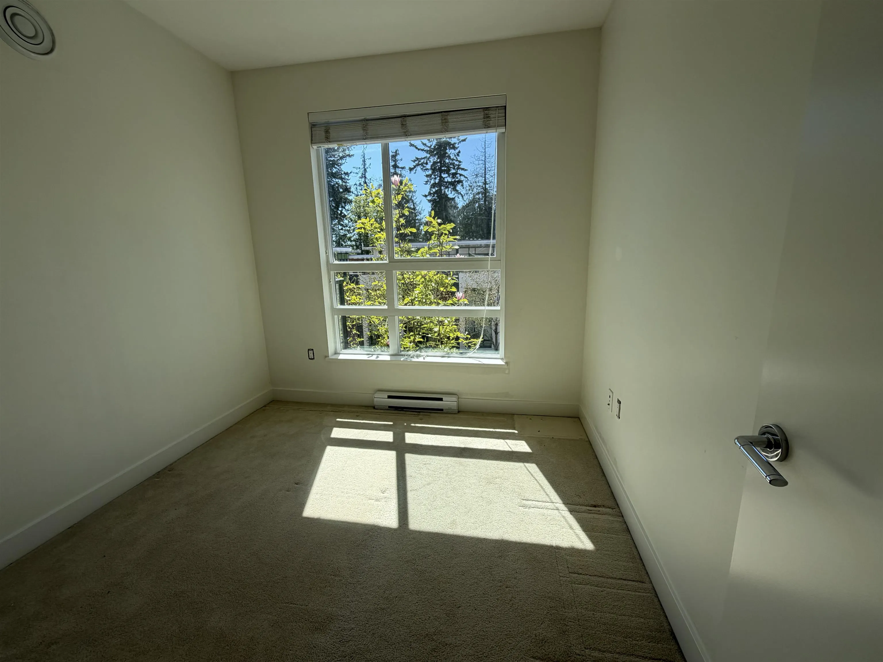 3462 Ross Drive #310