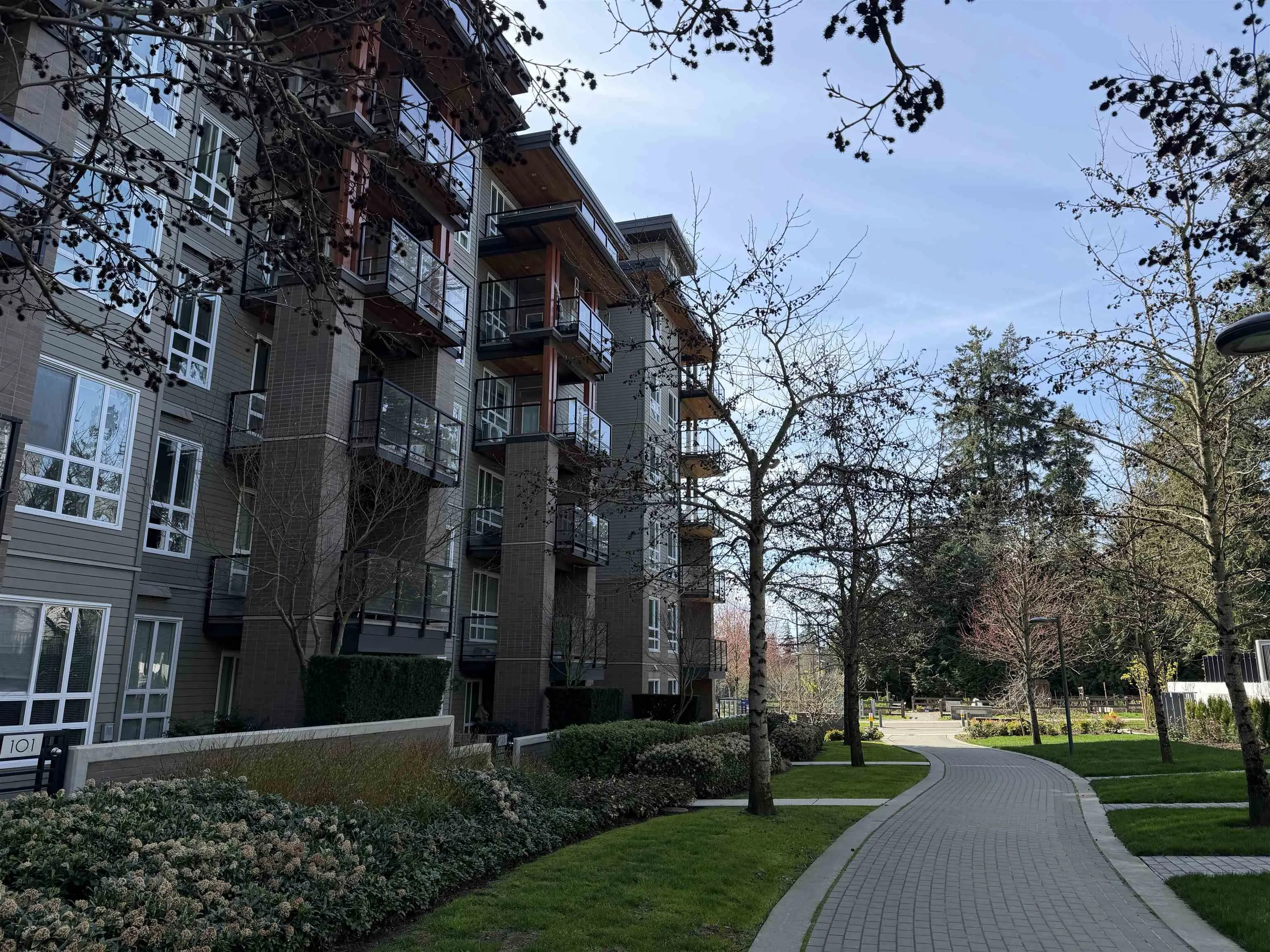 3462 Ross Drive #310