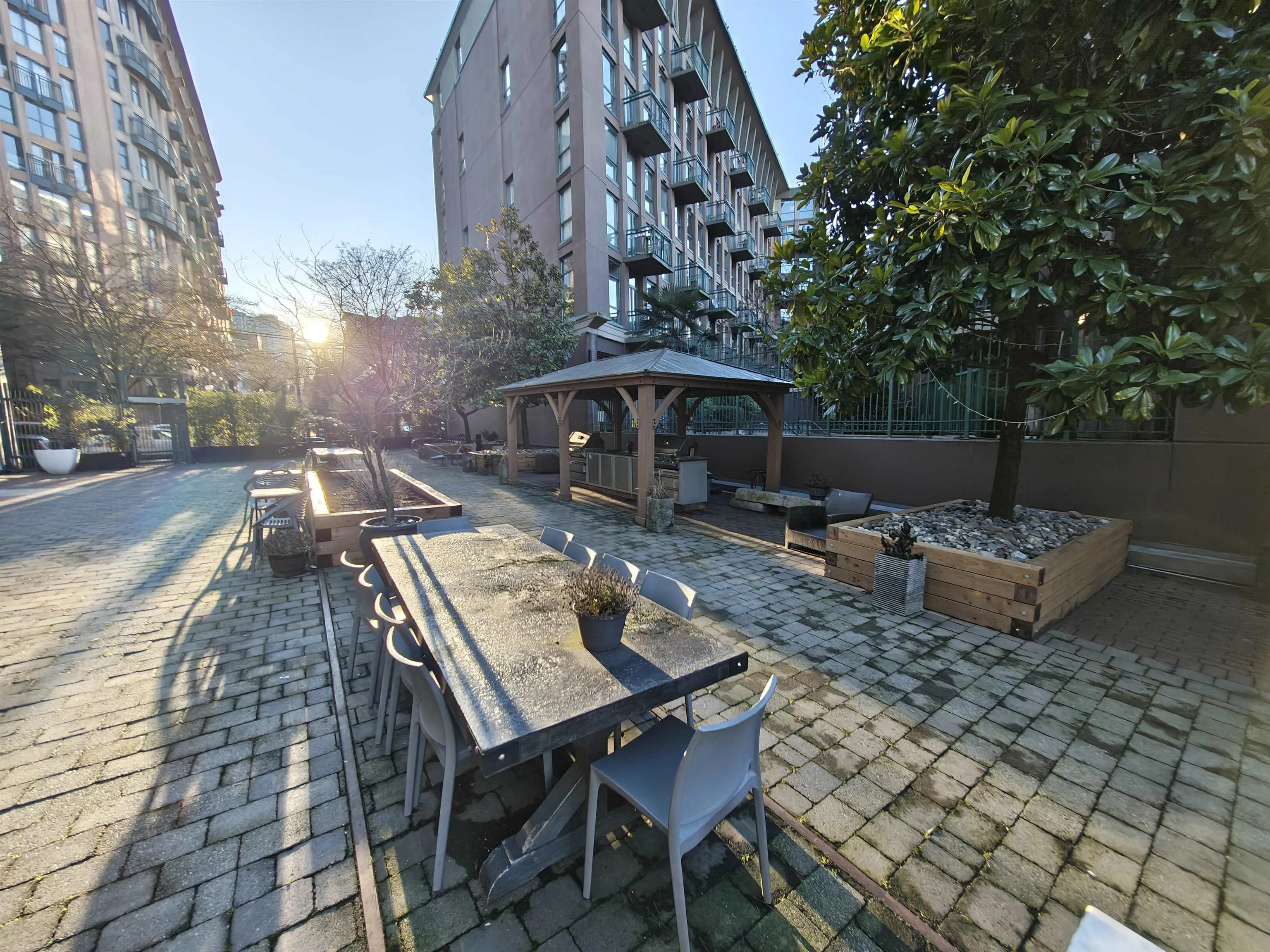 55 E Cordova Street #303