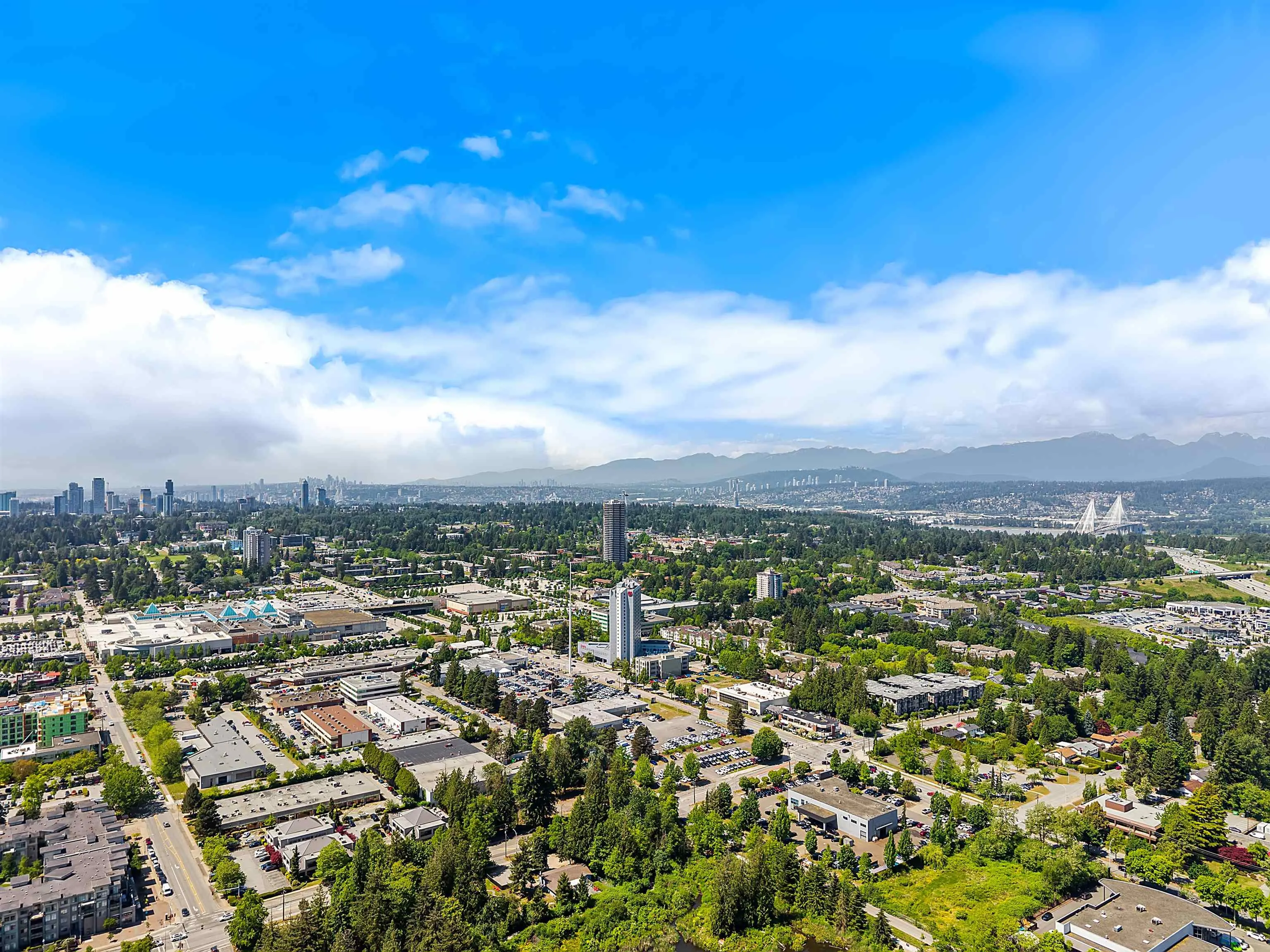 10238 155a Street #3