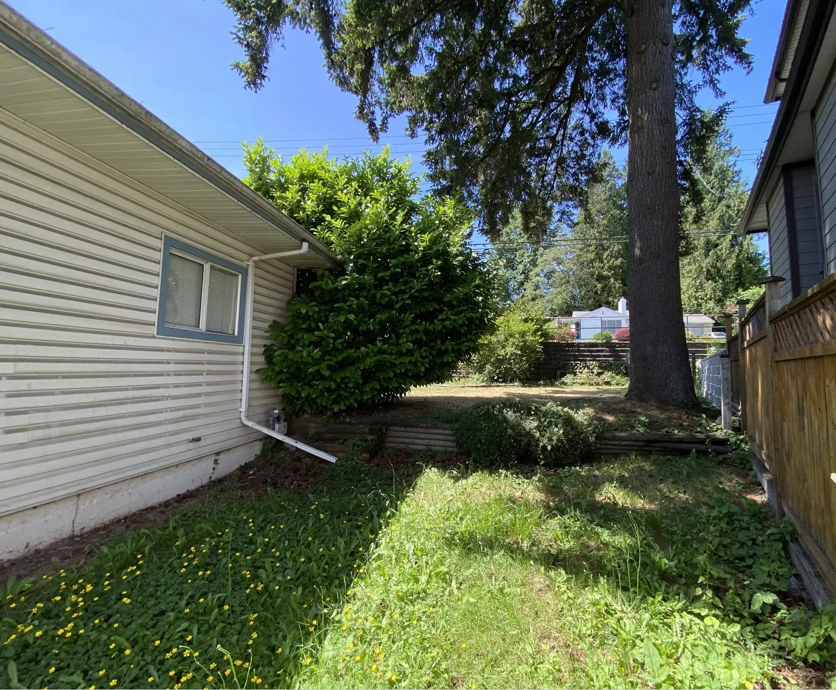 1955 Pitt River Road