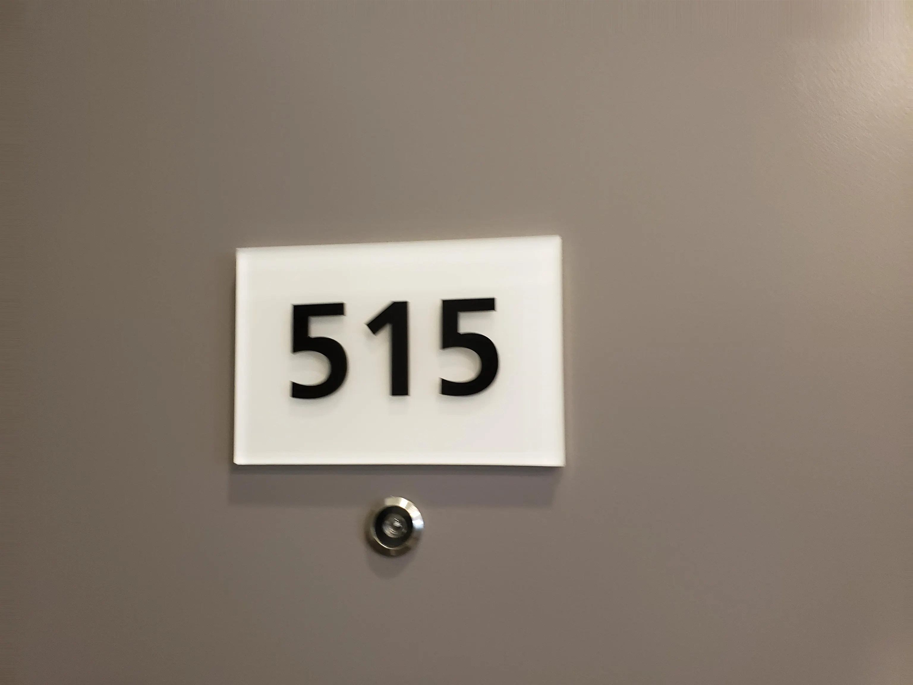 15351 101 Avenue #515
