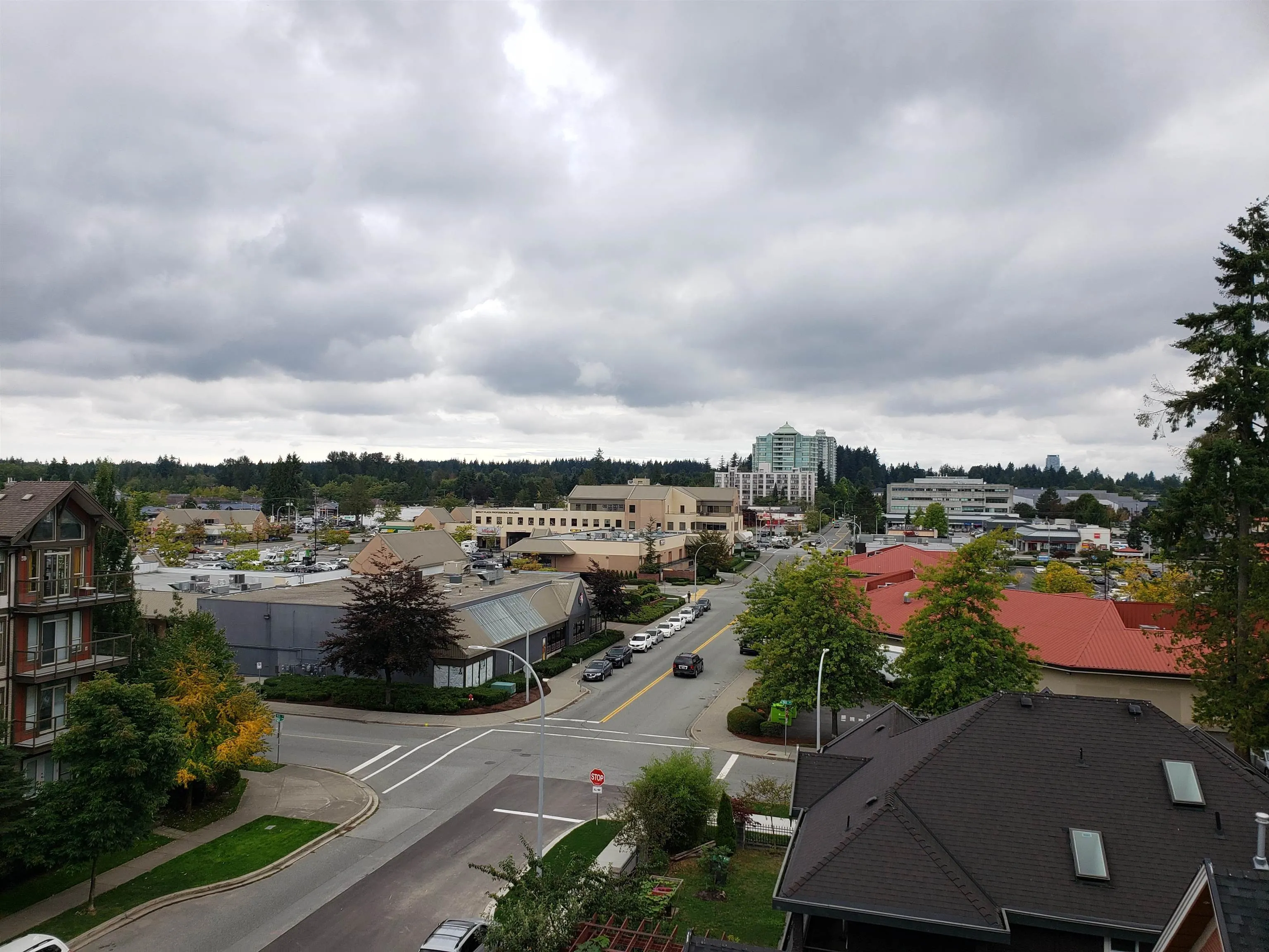 15351 101 Avenue #515