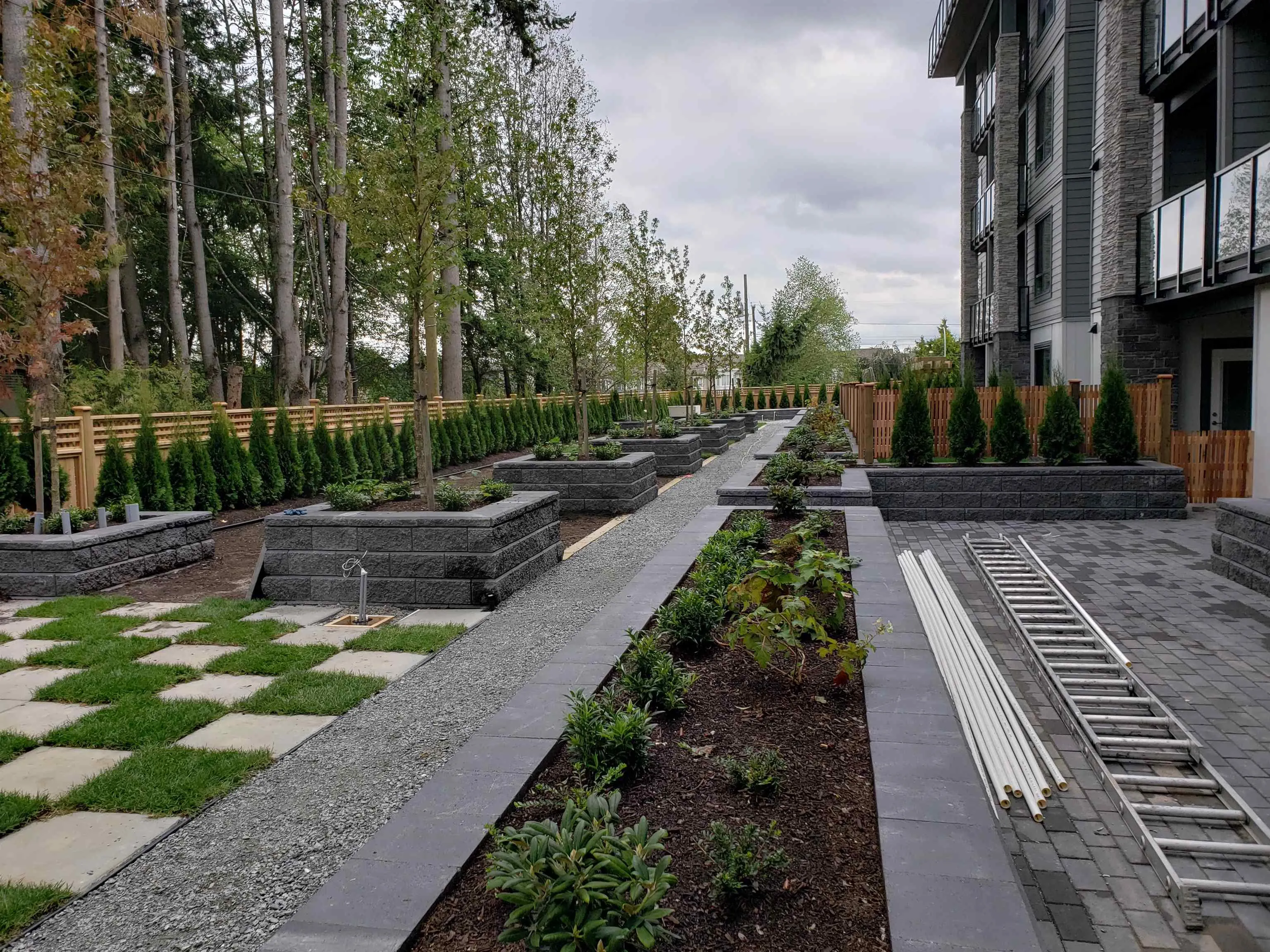 15351 101 Avenue #515