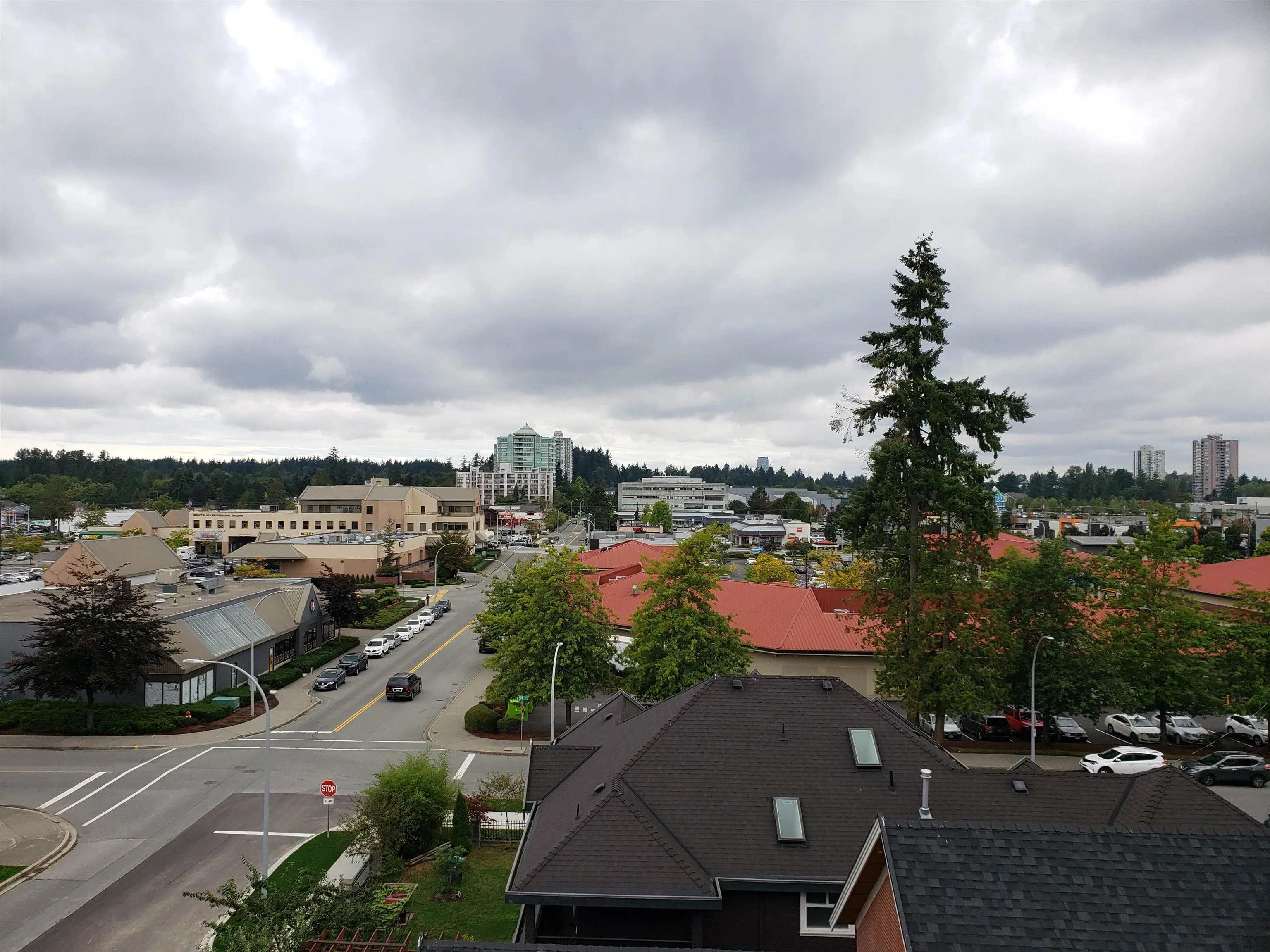 15351 101 Avenue #515