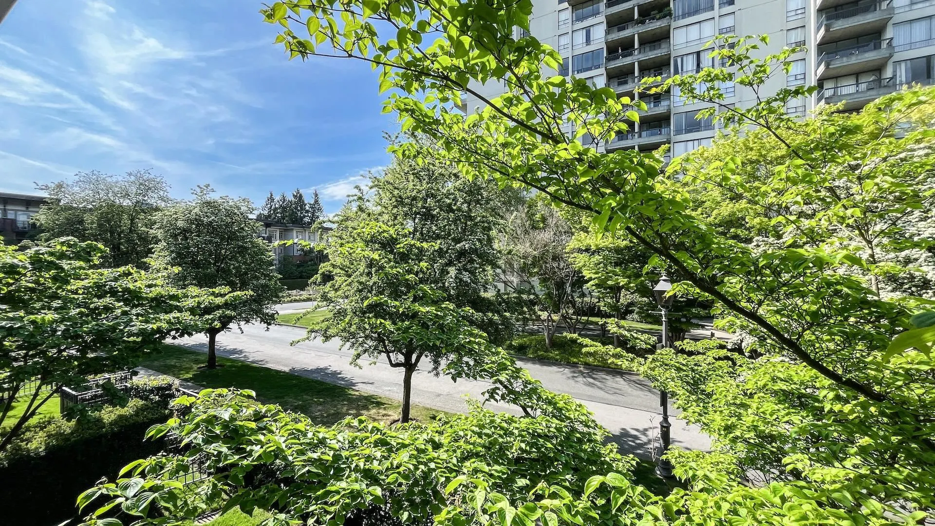 2338 Western Parkway #208