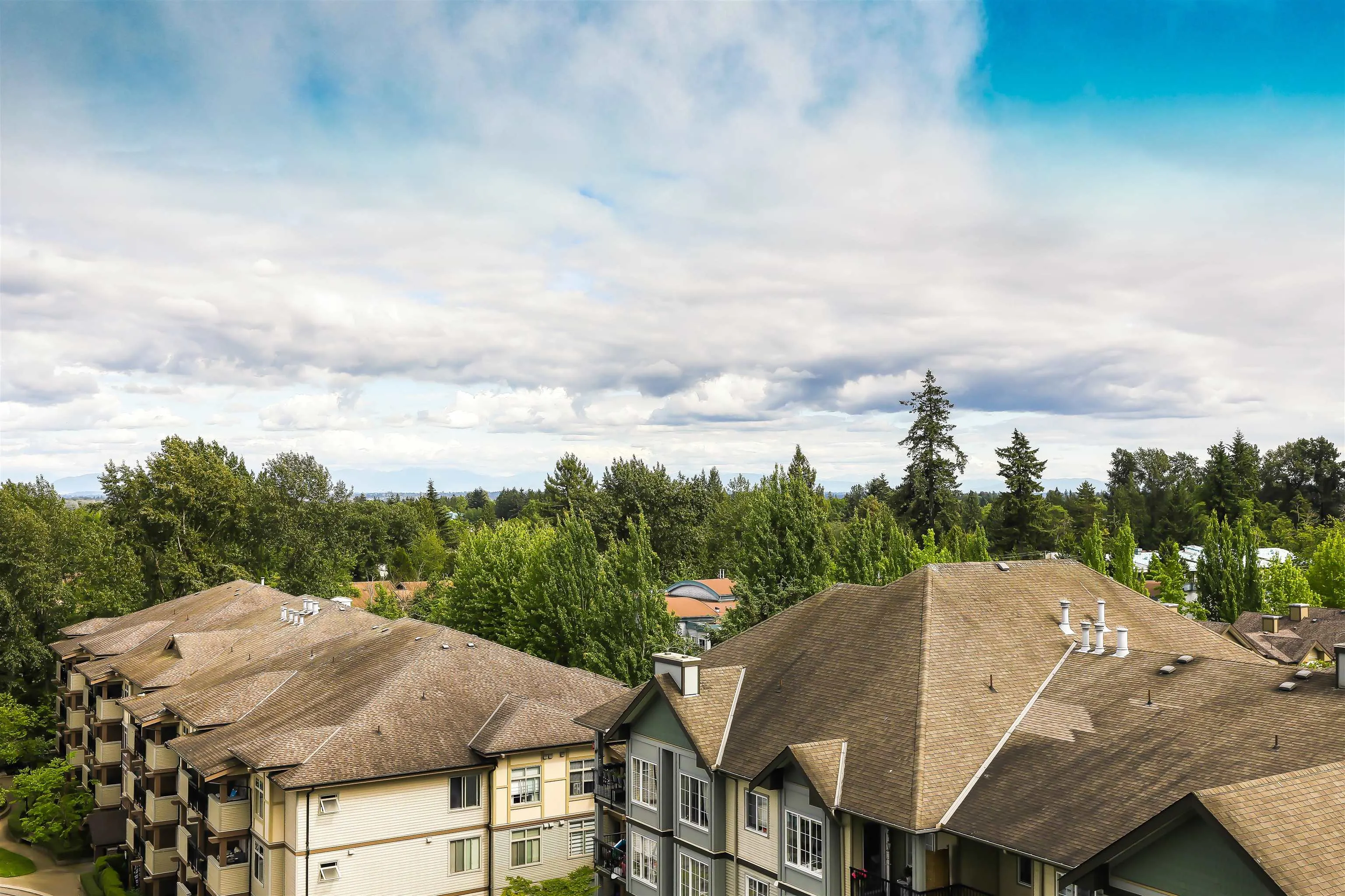10082 148 Street #808