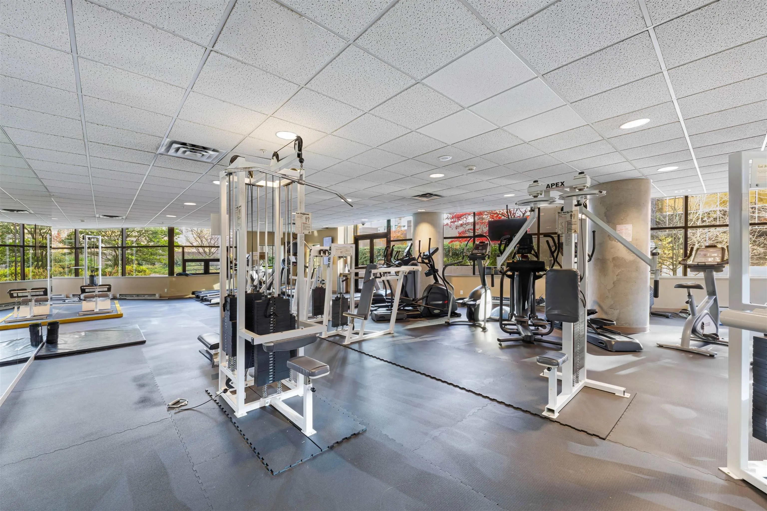 1331 Alberni Street #1208