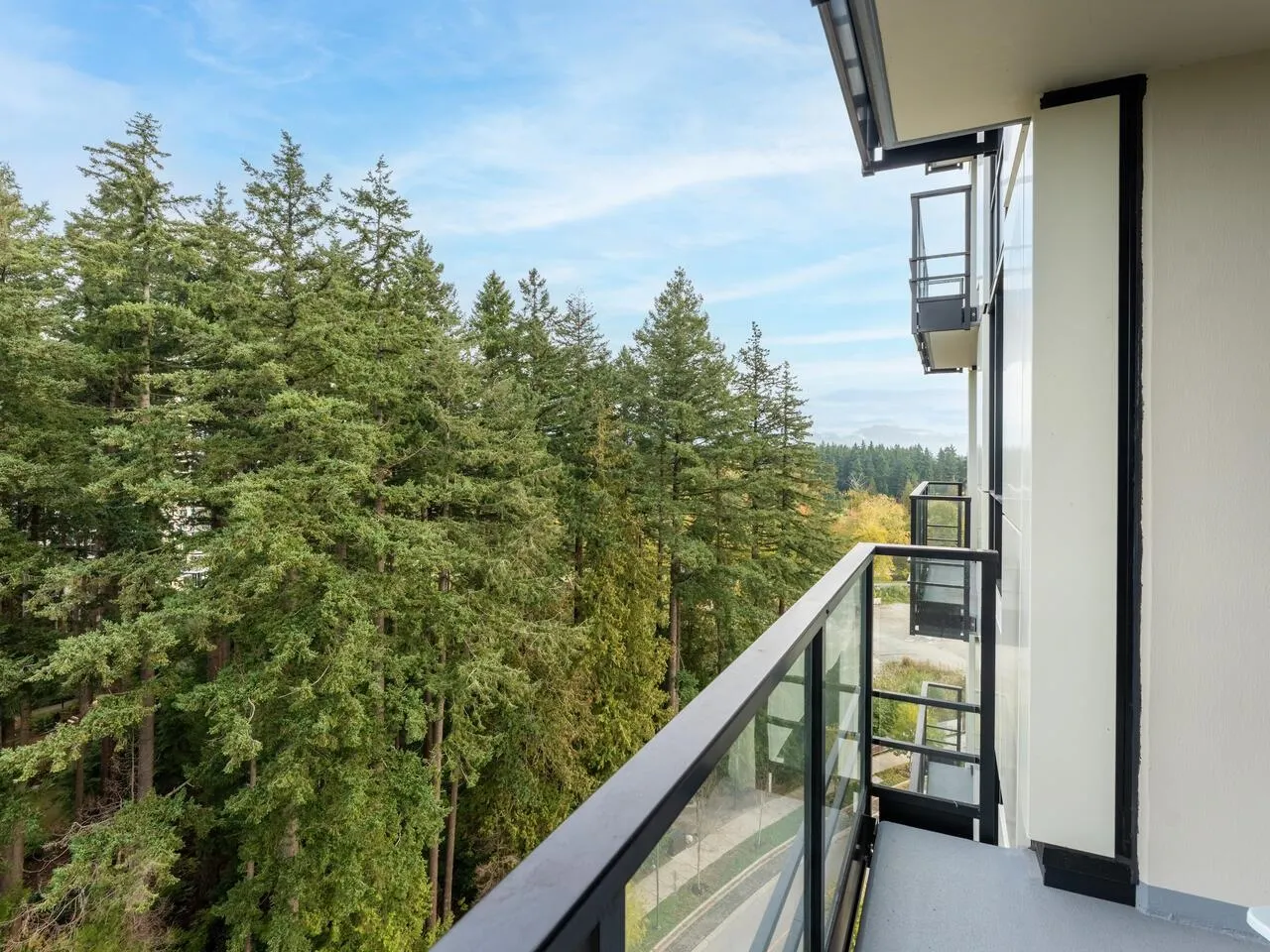 5380 Crooked Branch Road #1106
