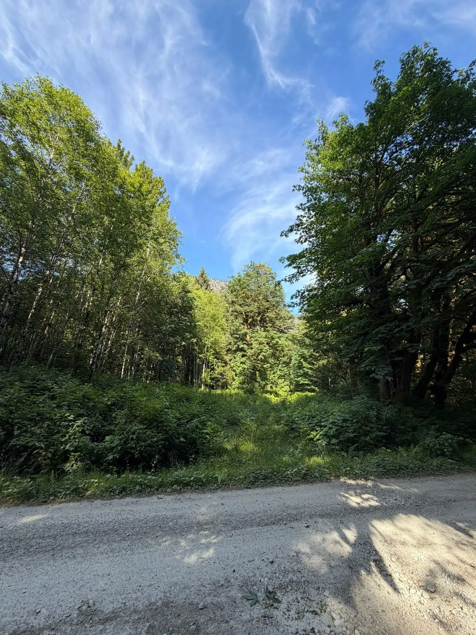 5 Upper Pitt River Road
