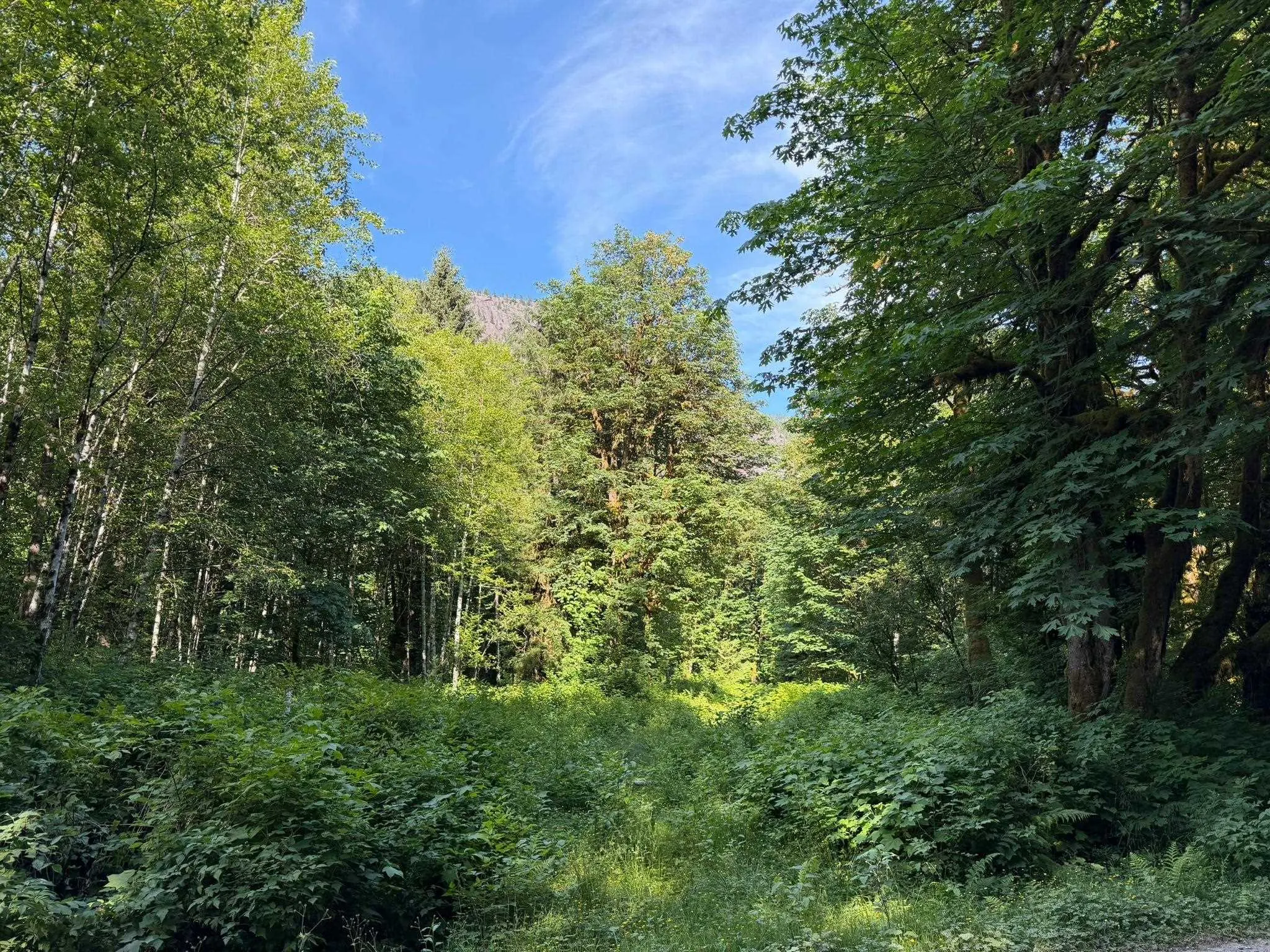 5 Upper Pitt River Road