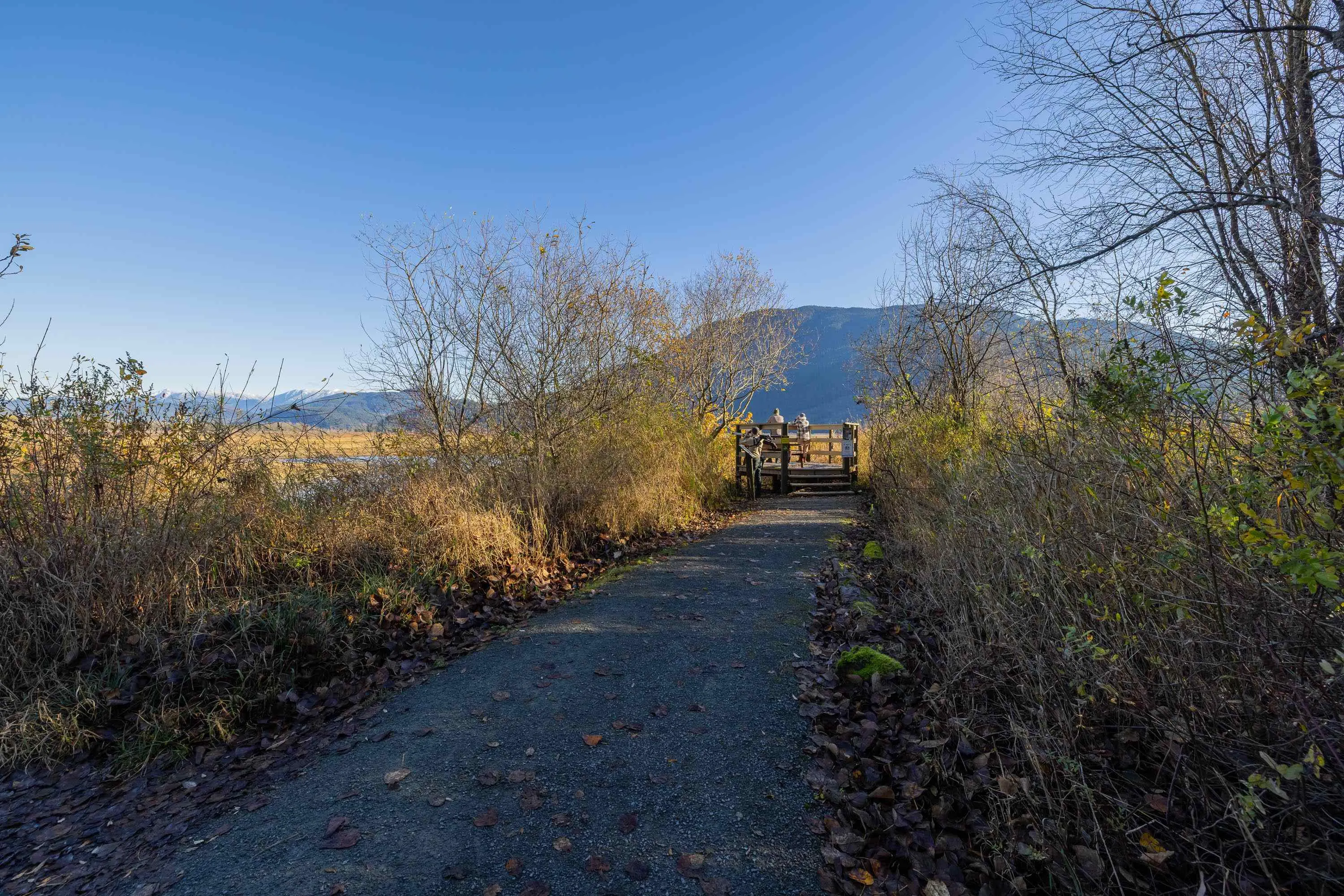 14550 Morris Valley Road #2