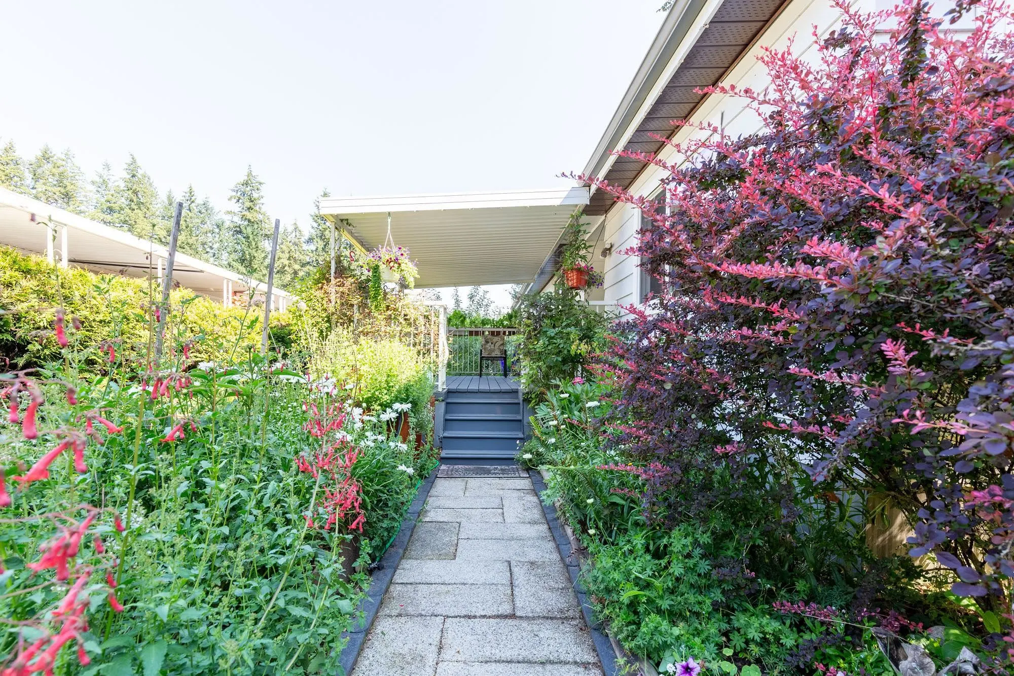 20071 24 Avenue #204