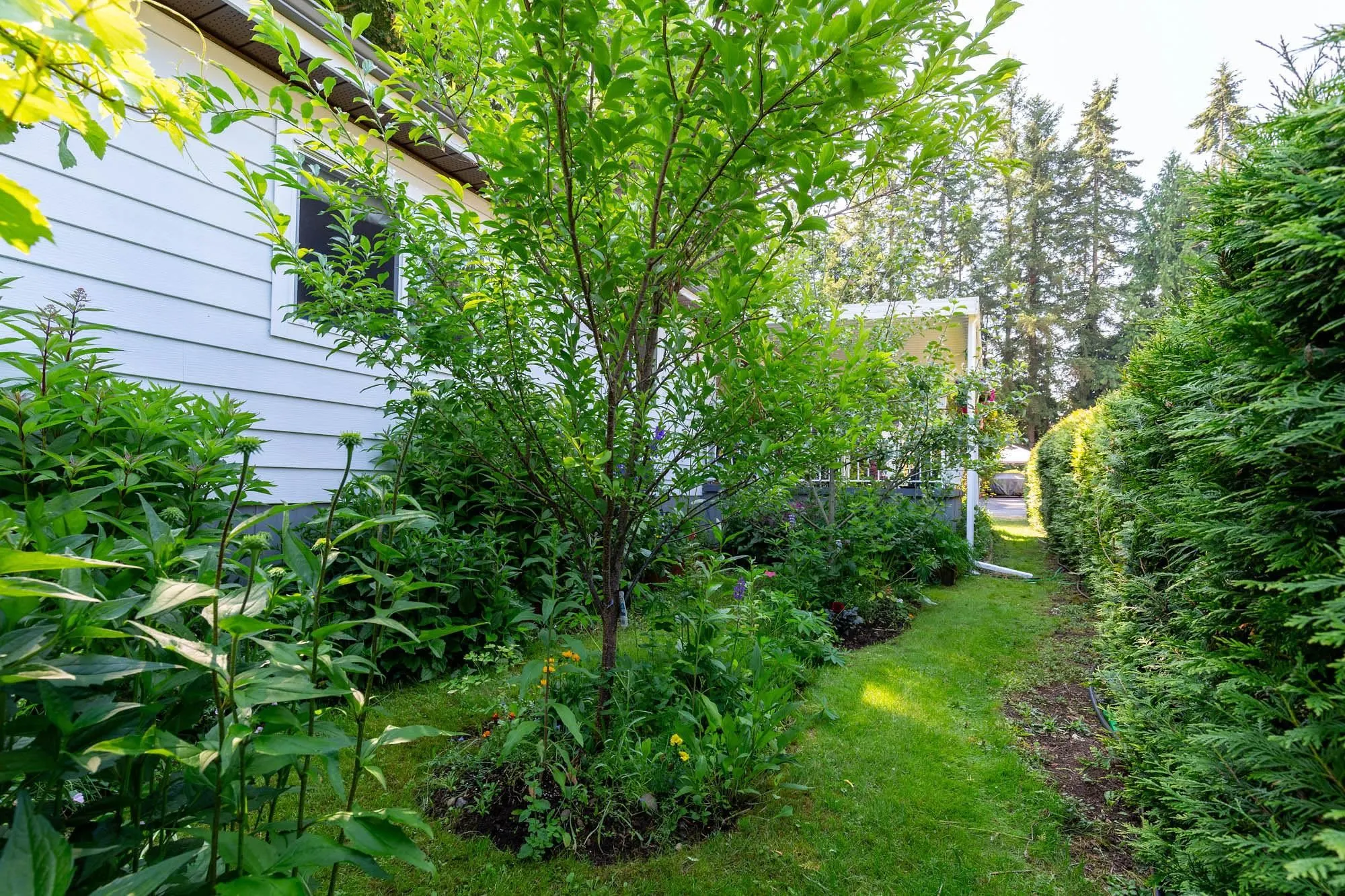 20071 24 Avenue #204