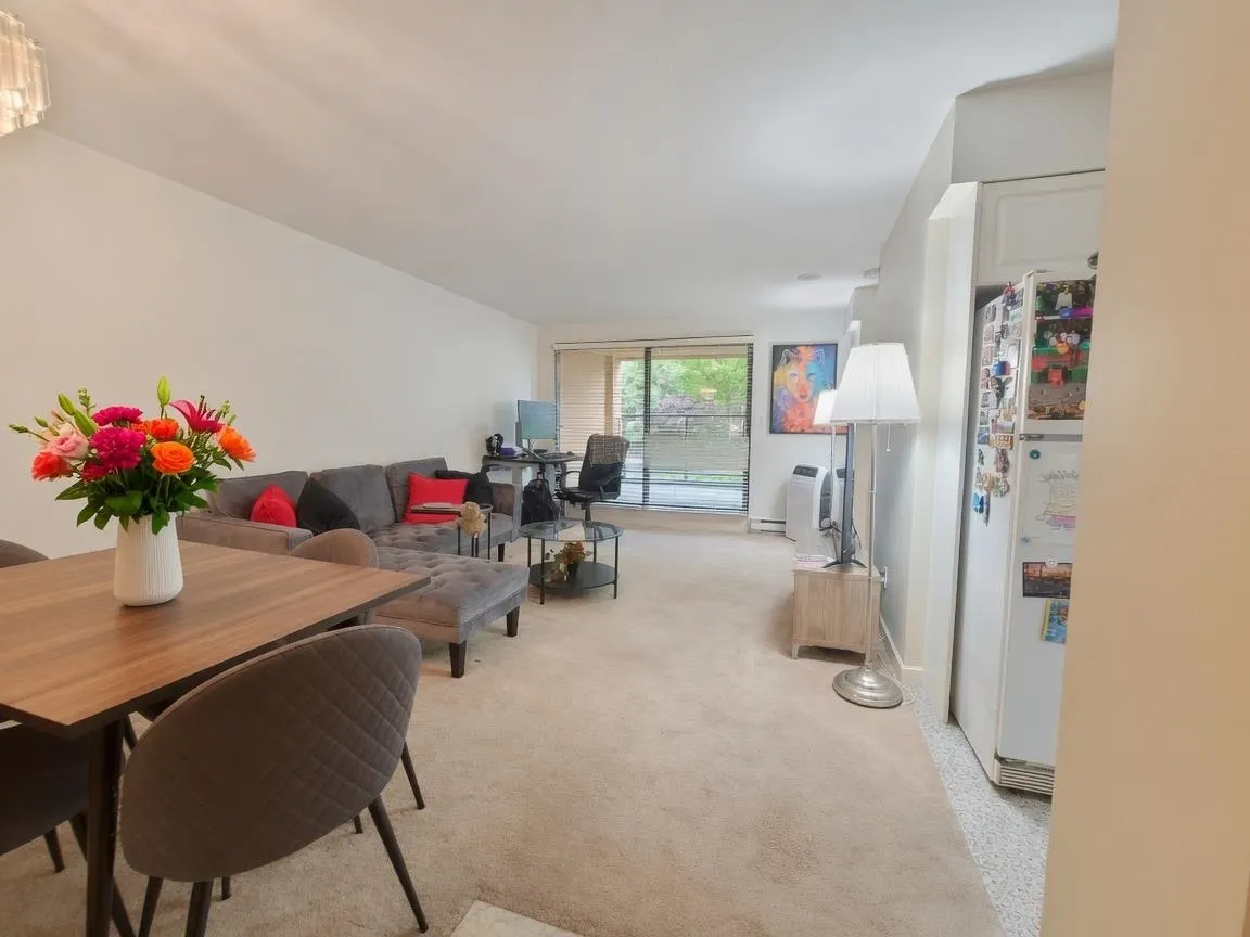 488 Helmcken Street #214