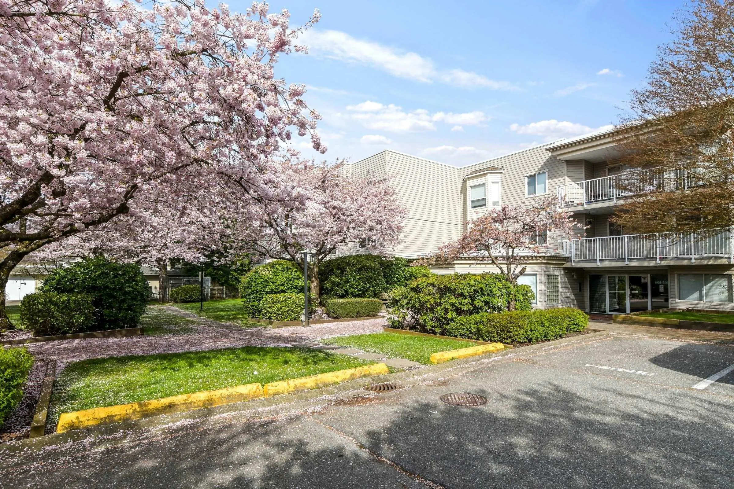 9948 151 Street #102