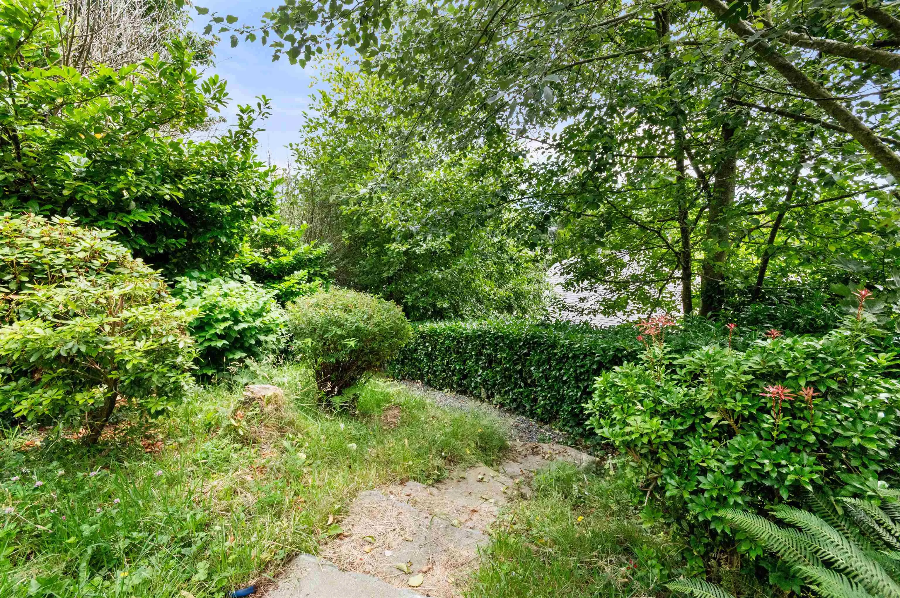 33483 Blueberry Drive