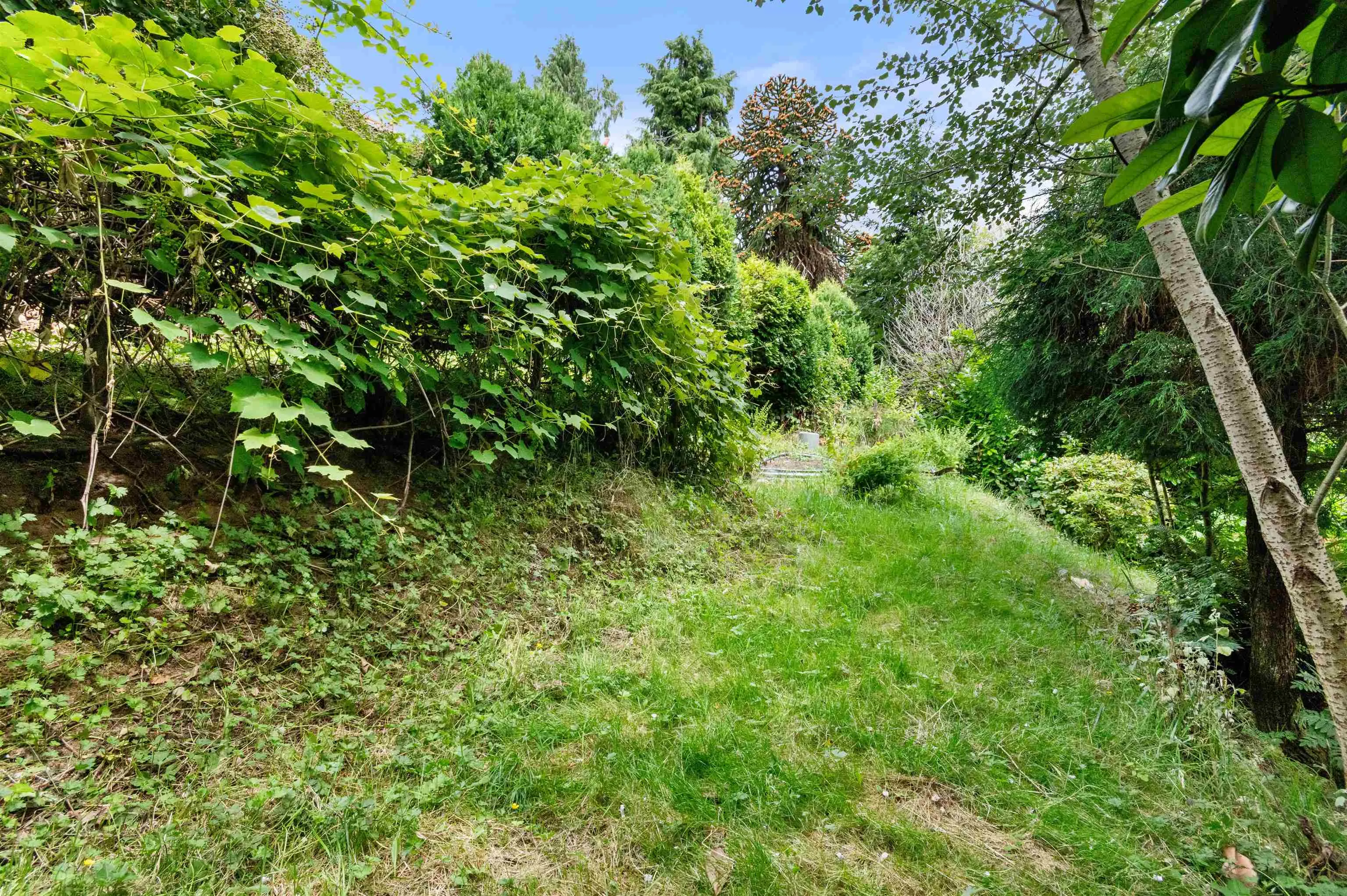 33483 Blueberry Drive