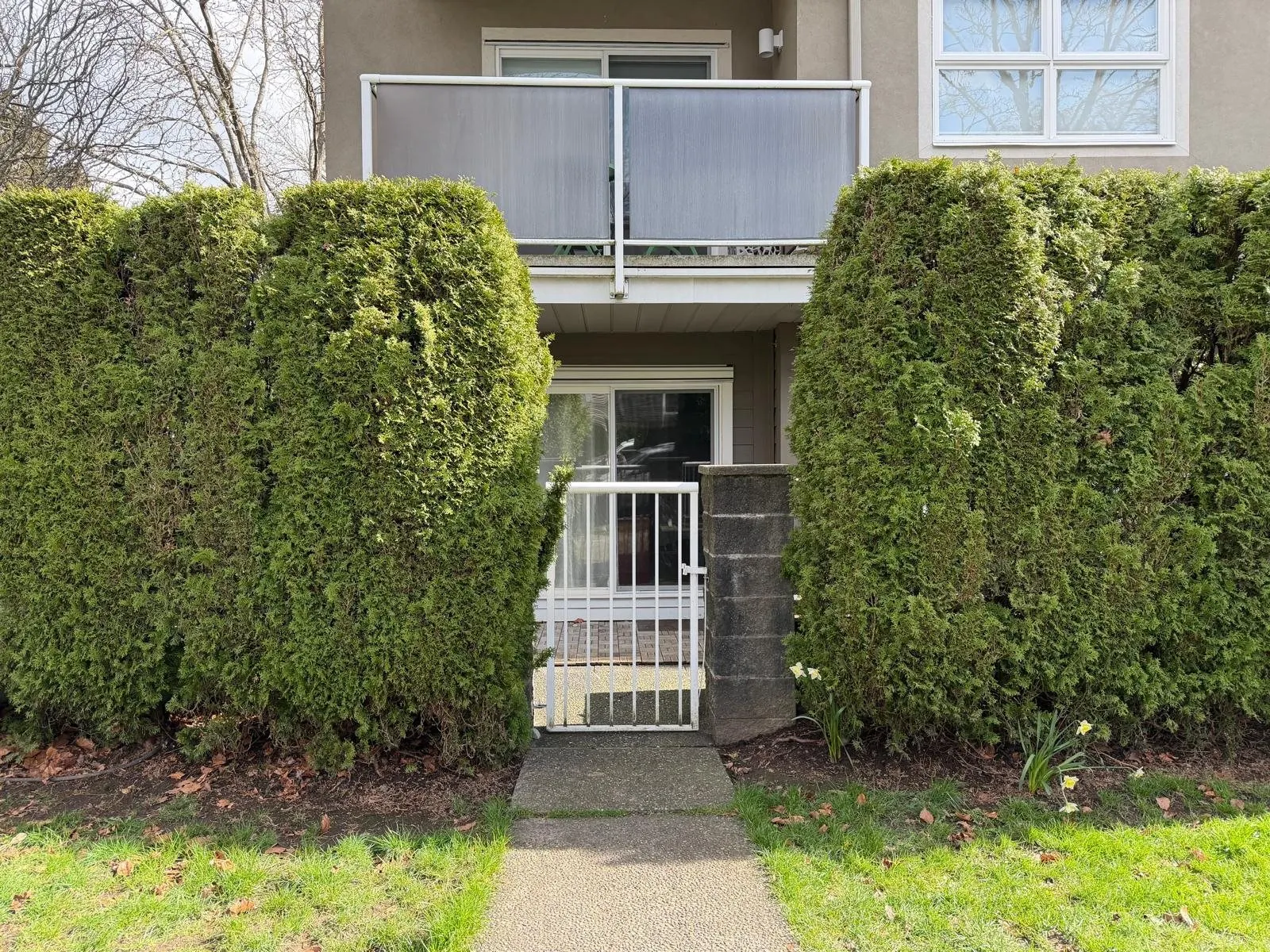 3008 Willow Street #102