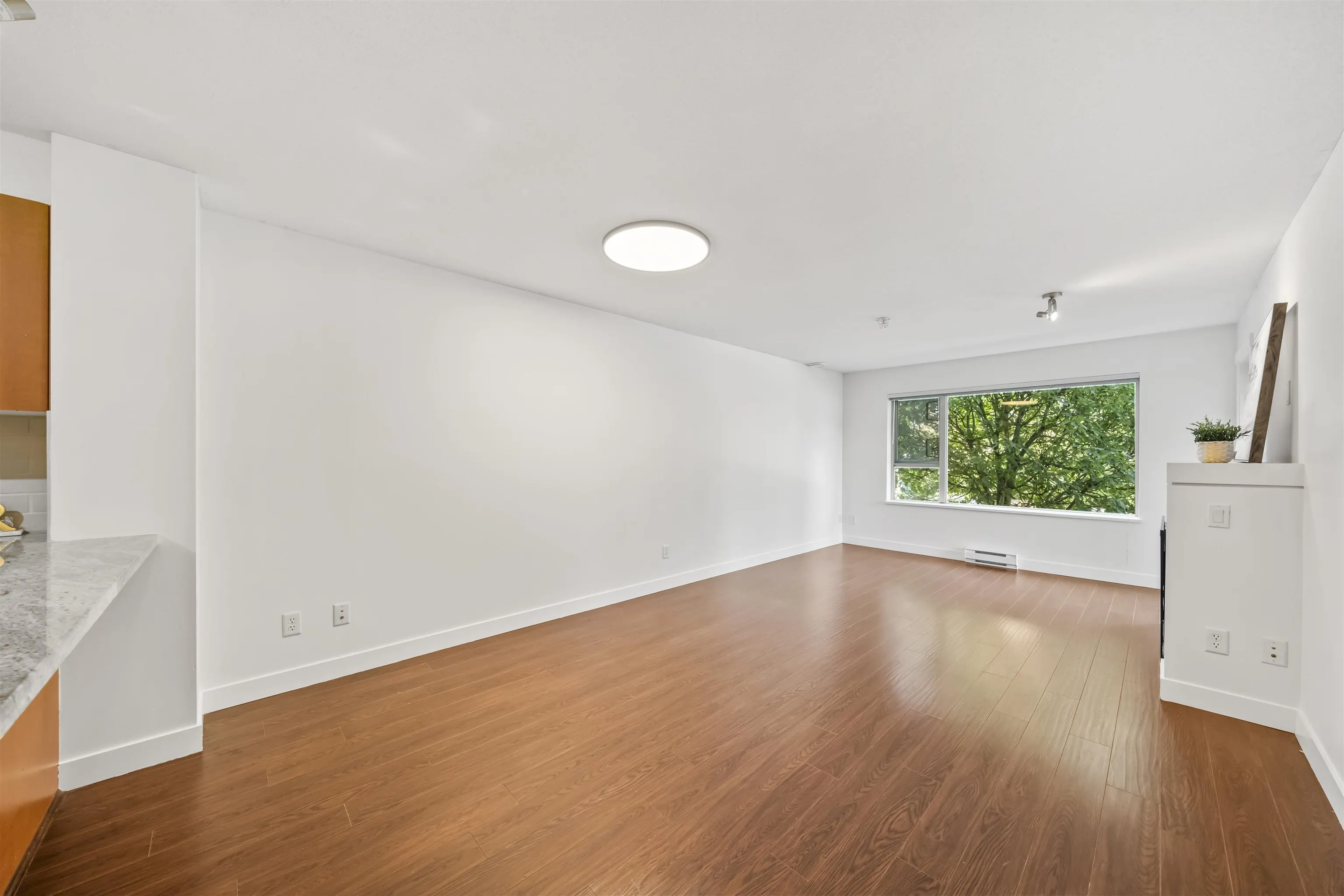 4728 Dawson Street #216