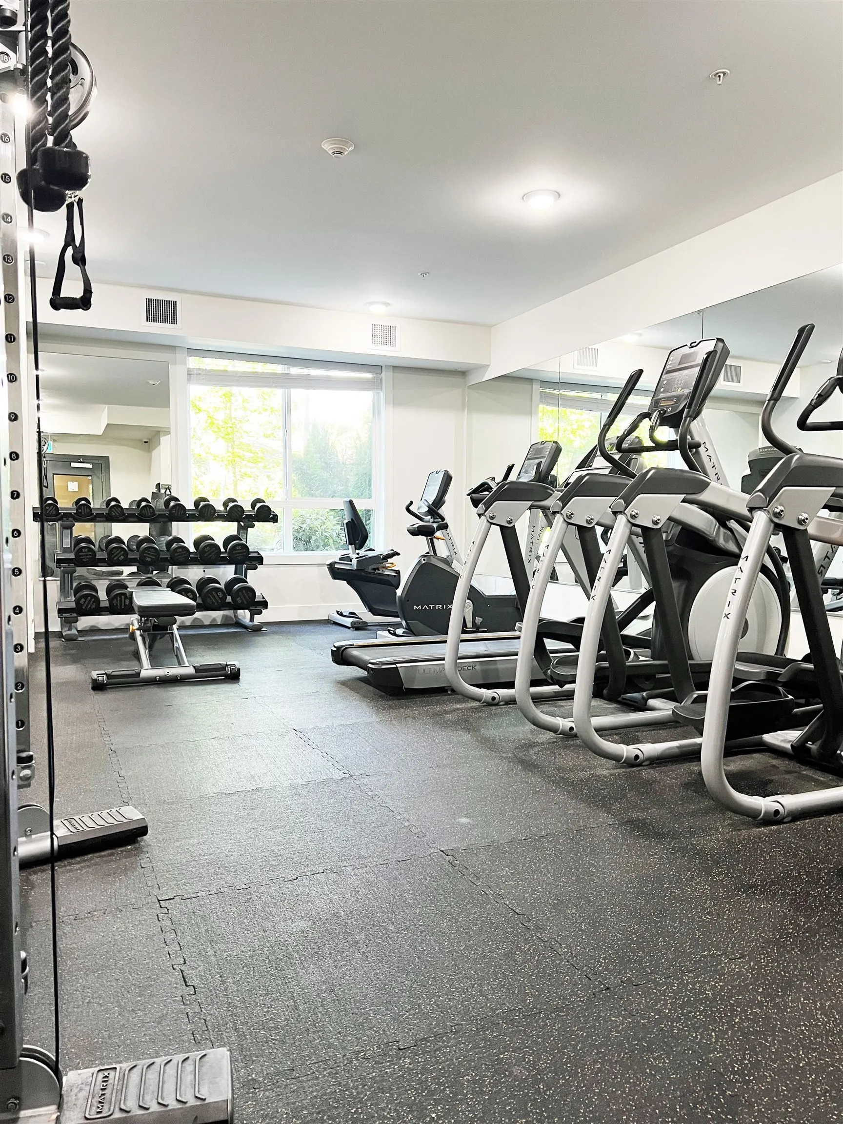 15351 101 Avenue #415