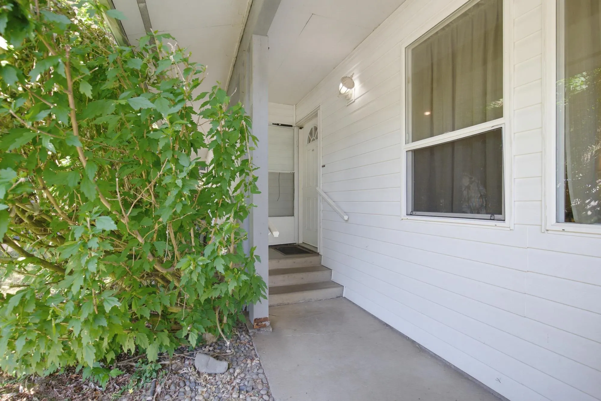 34828 Brient Street