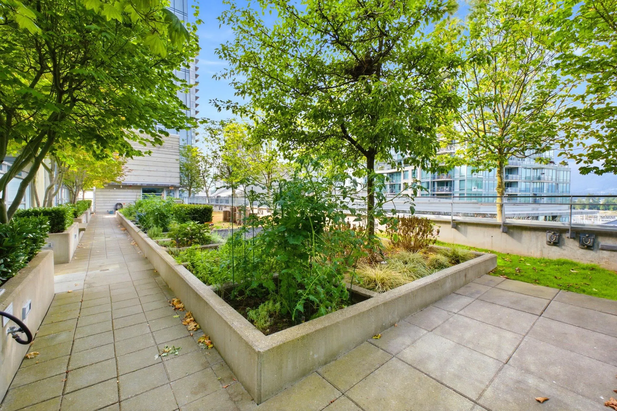 1409 W Pender Street #802