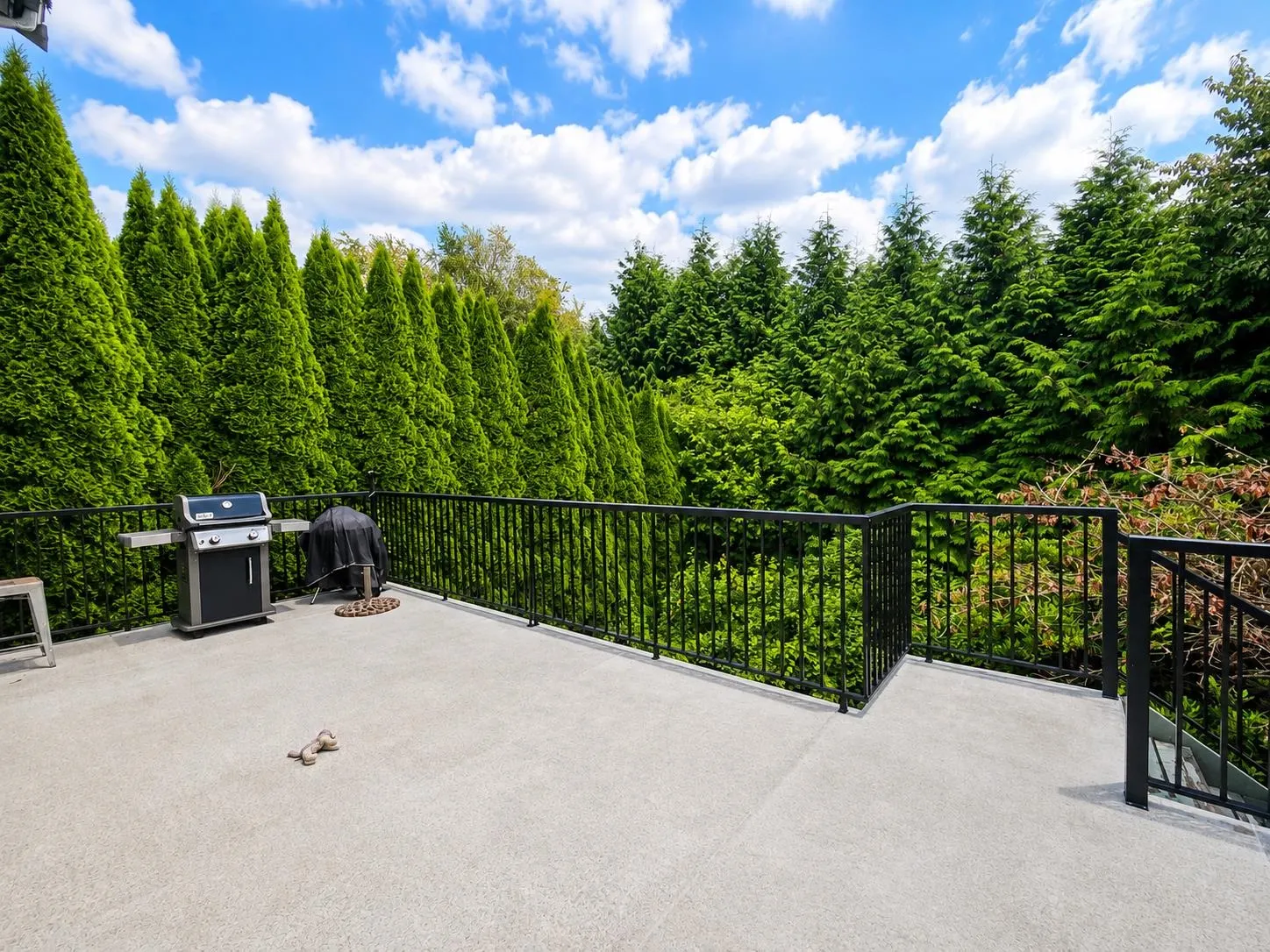 35350 Mccorkell Drive