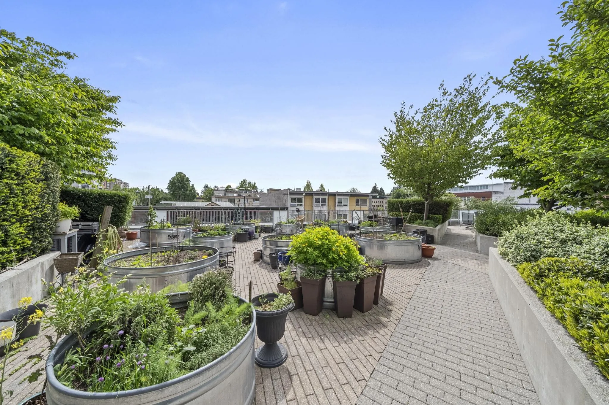 285 E 10th Avenue #310