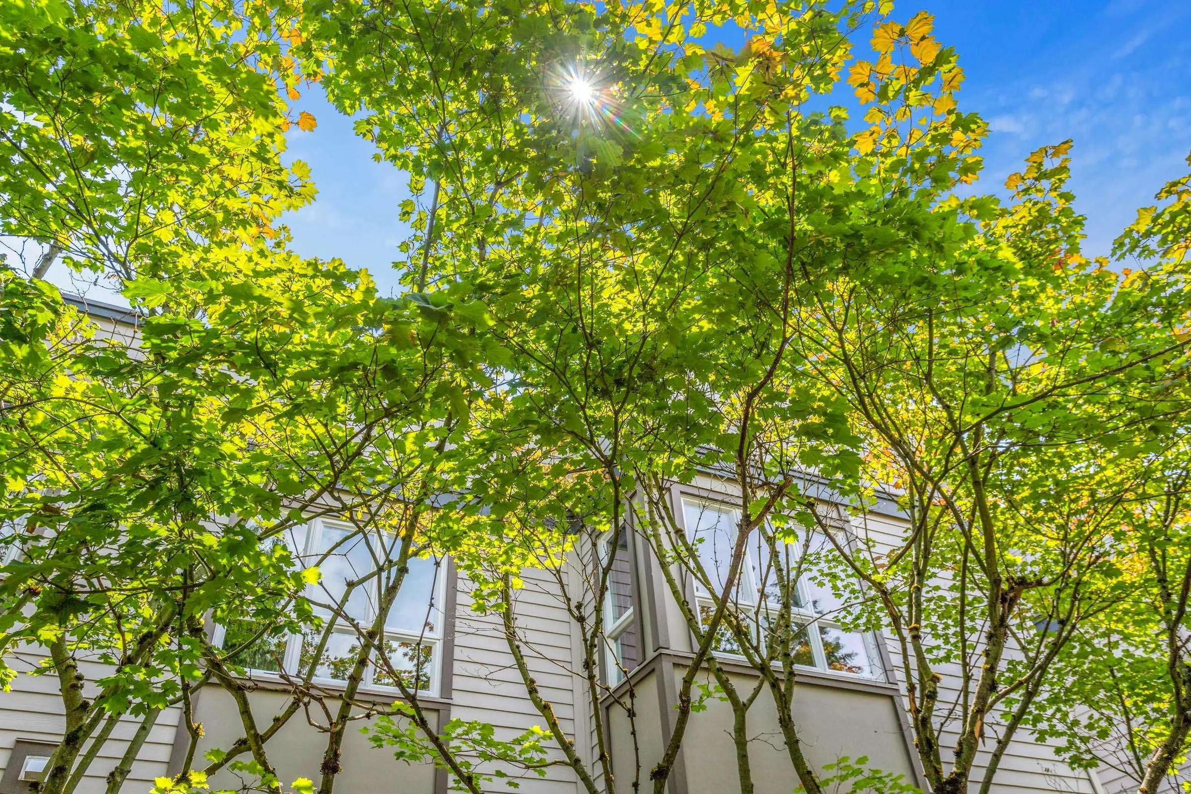 106 W Kings Road #403