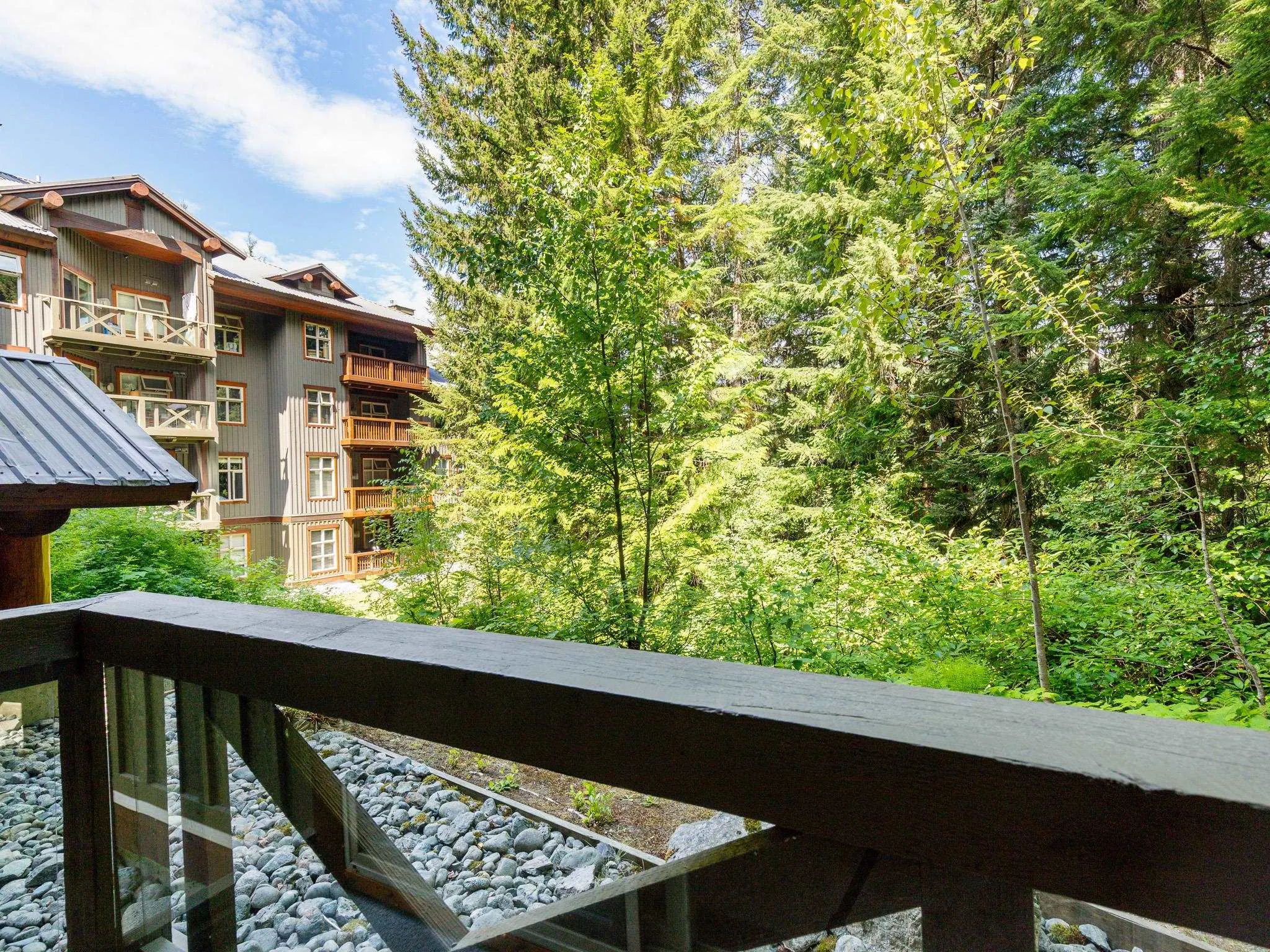 4660 Blackcomb Way #225
