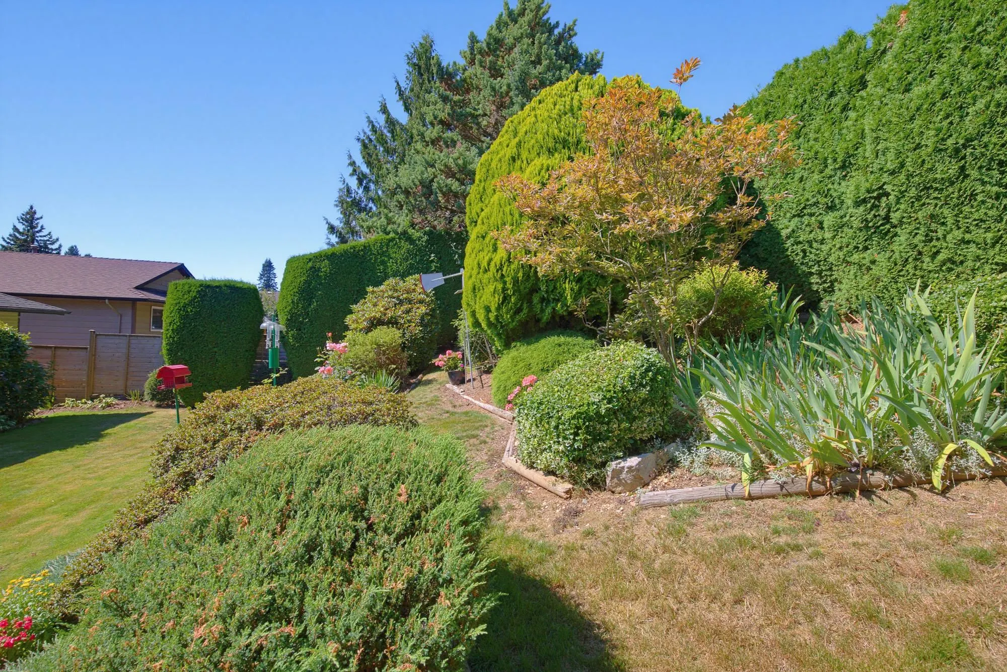 2358 Cameron Crescent