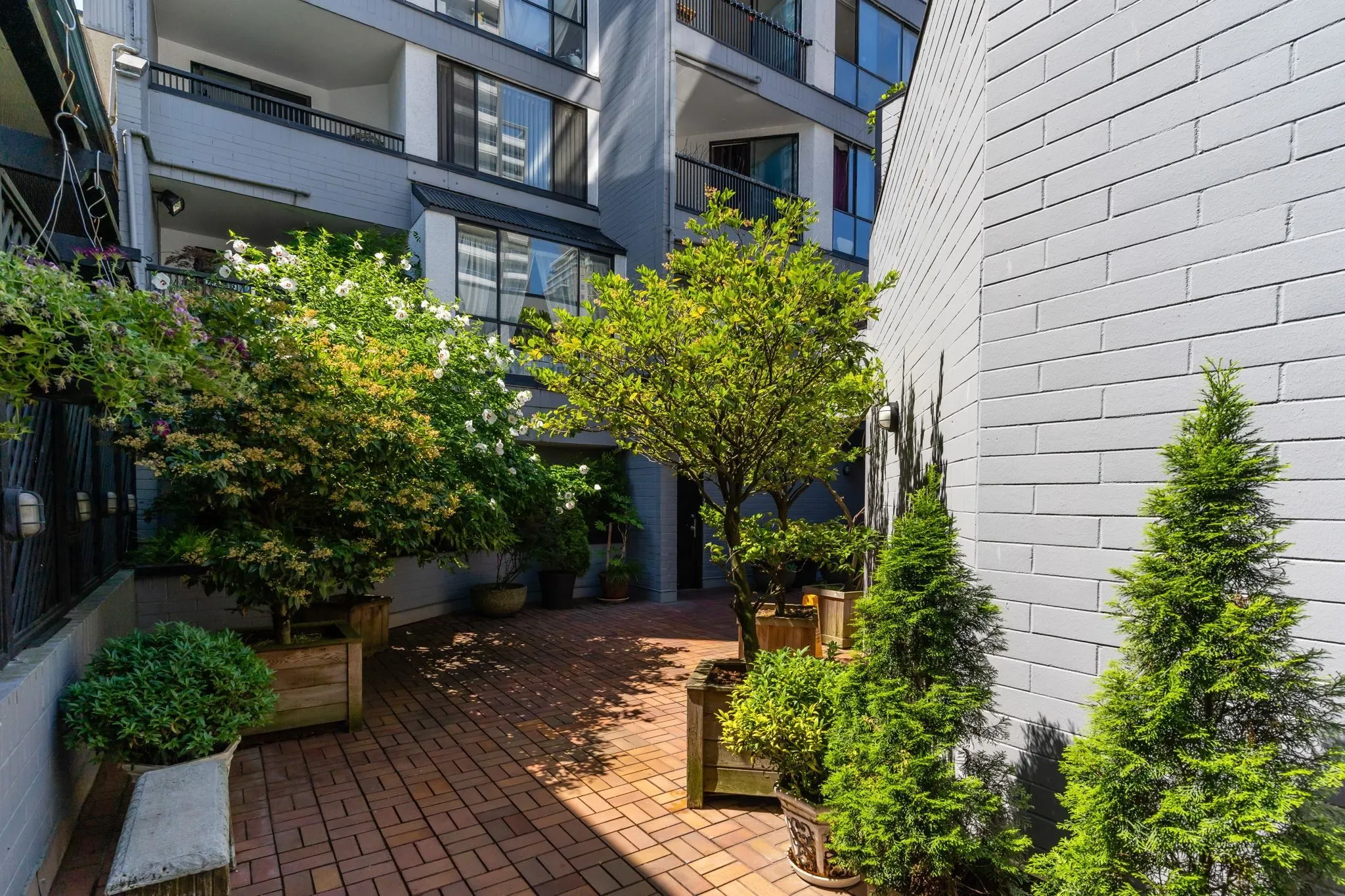 1270 Robson Street #702
