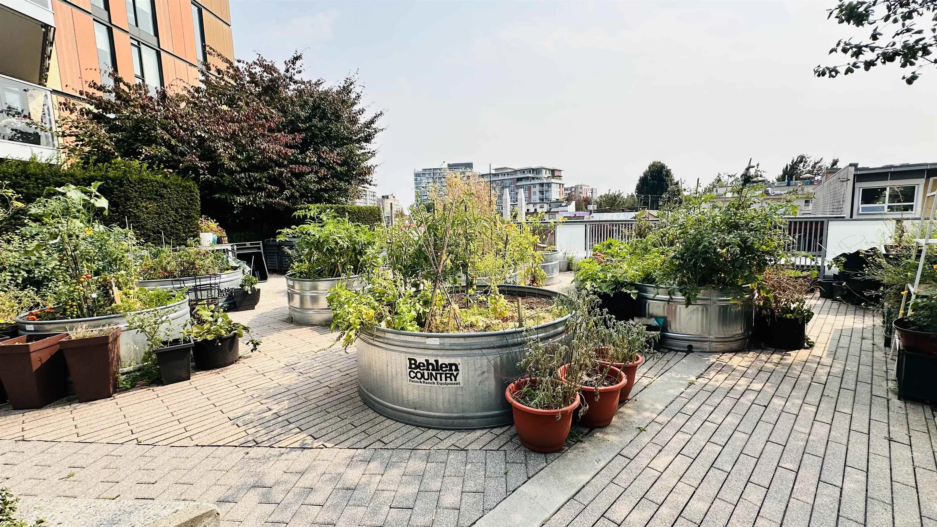 285 E 10th Avenue #1806