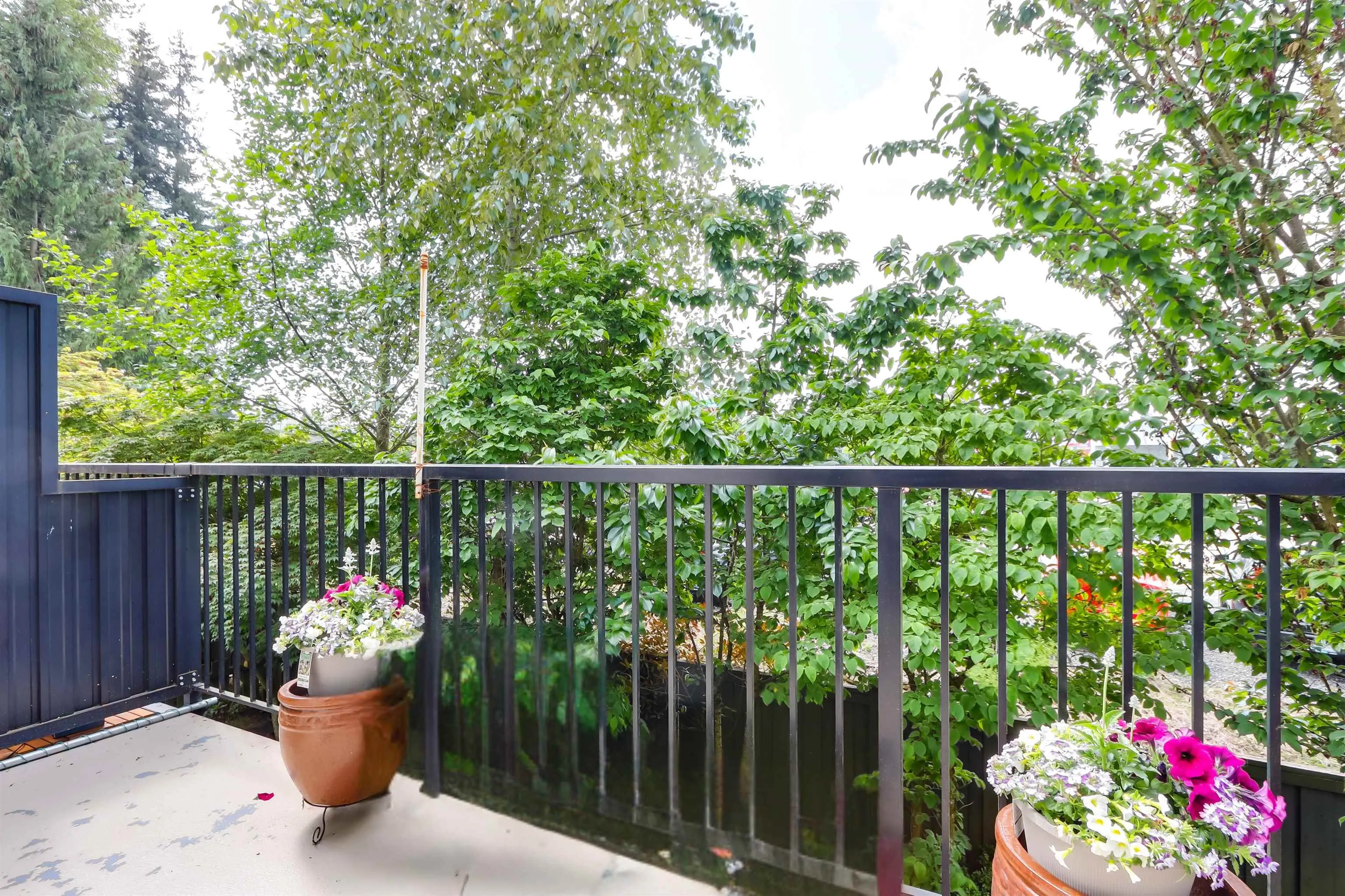 8355 164 Street #59