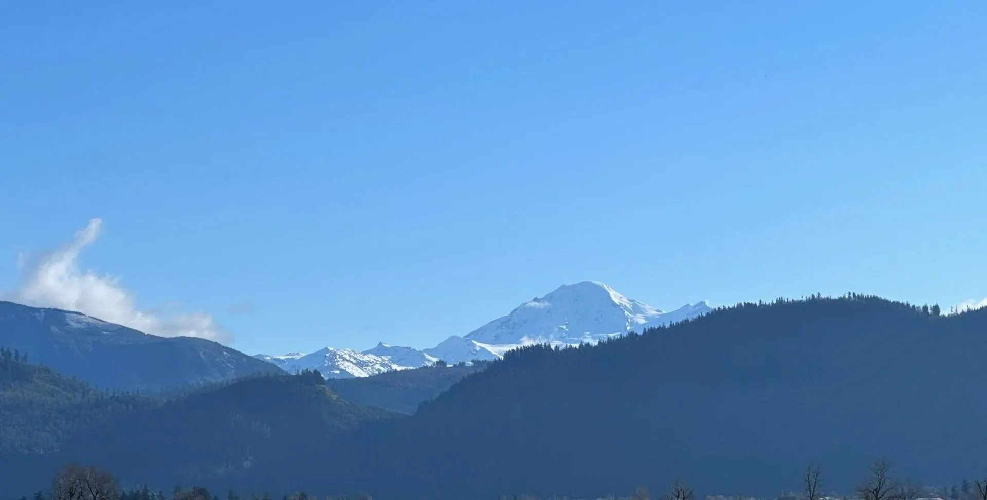 2242 Whatcom Road #409