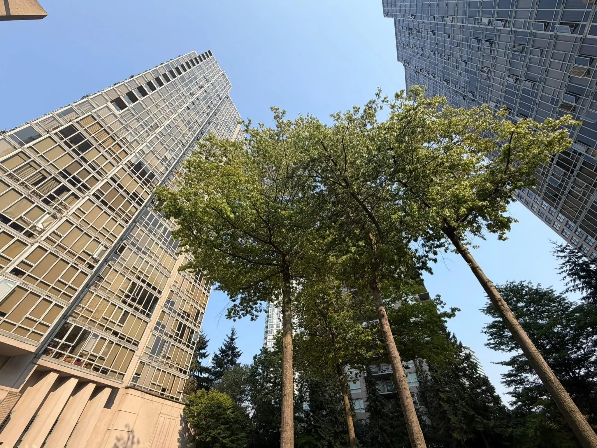 930 Cambie Street #1003