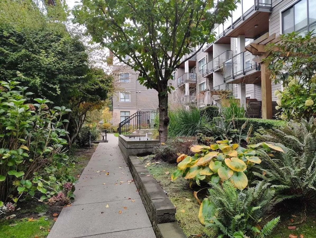 15388 105 Avenue #205