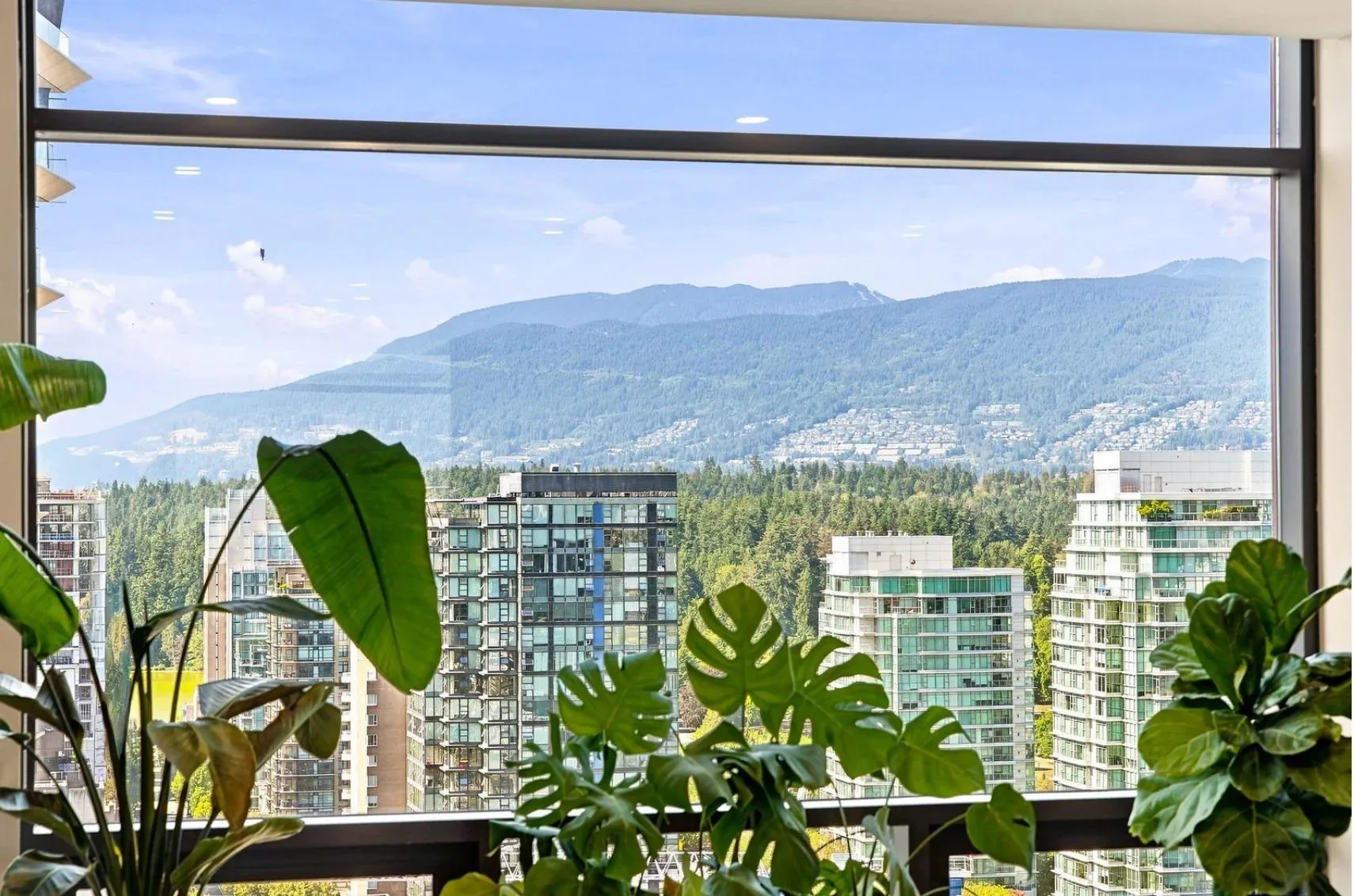 1500 Alberni Street #15C