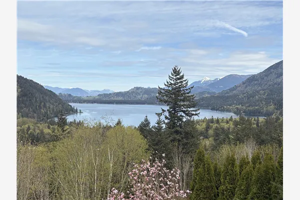 1436 Frost Road #170