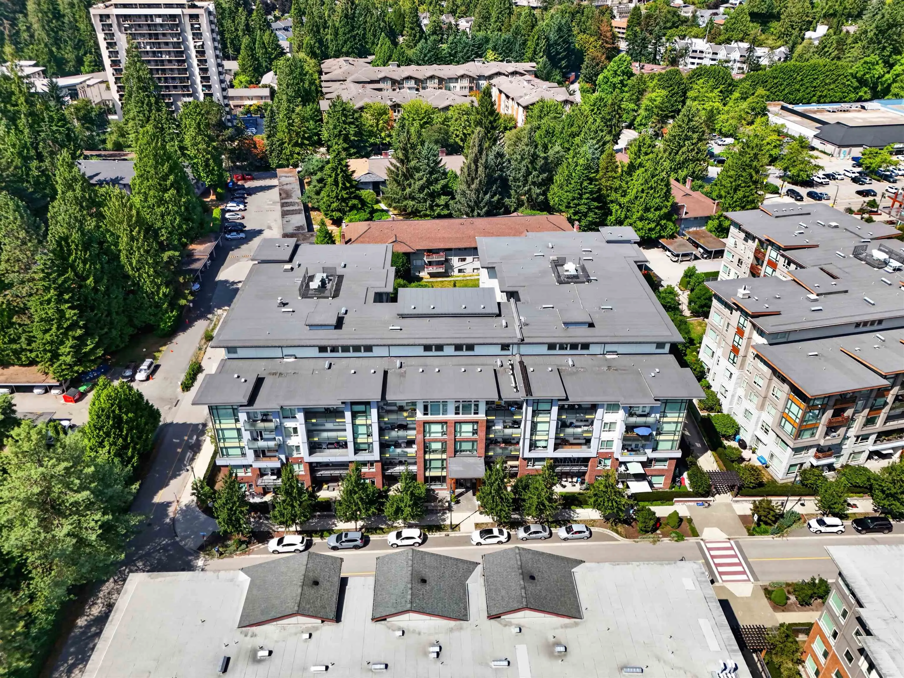 2651 Library Lane #204