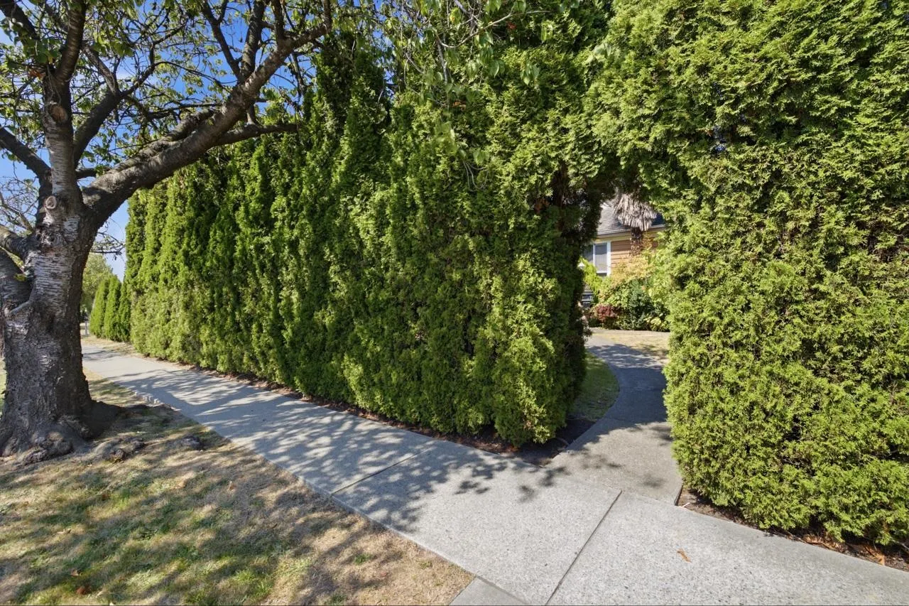 55 W King Edward Avenue