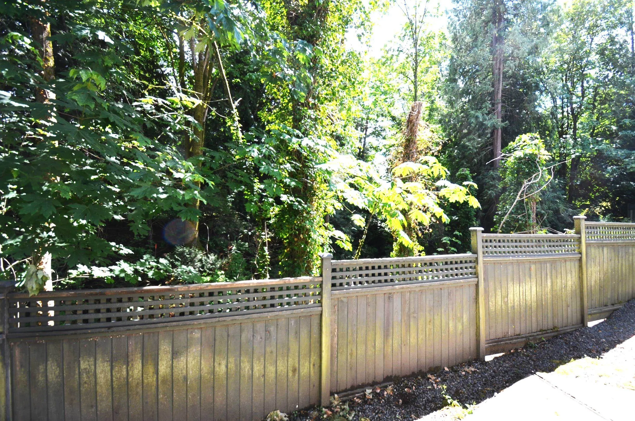 10308 155a Street #108